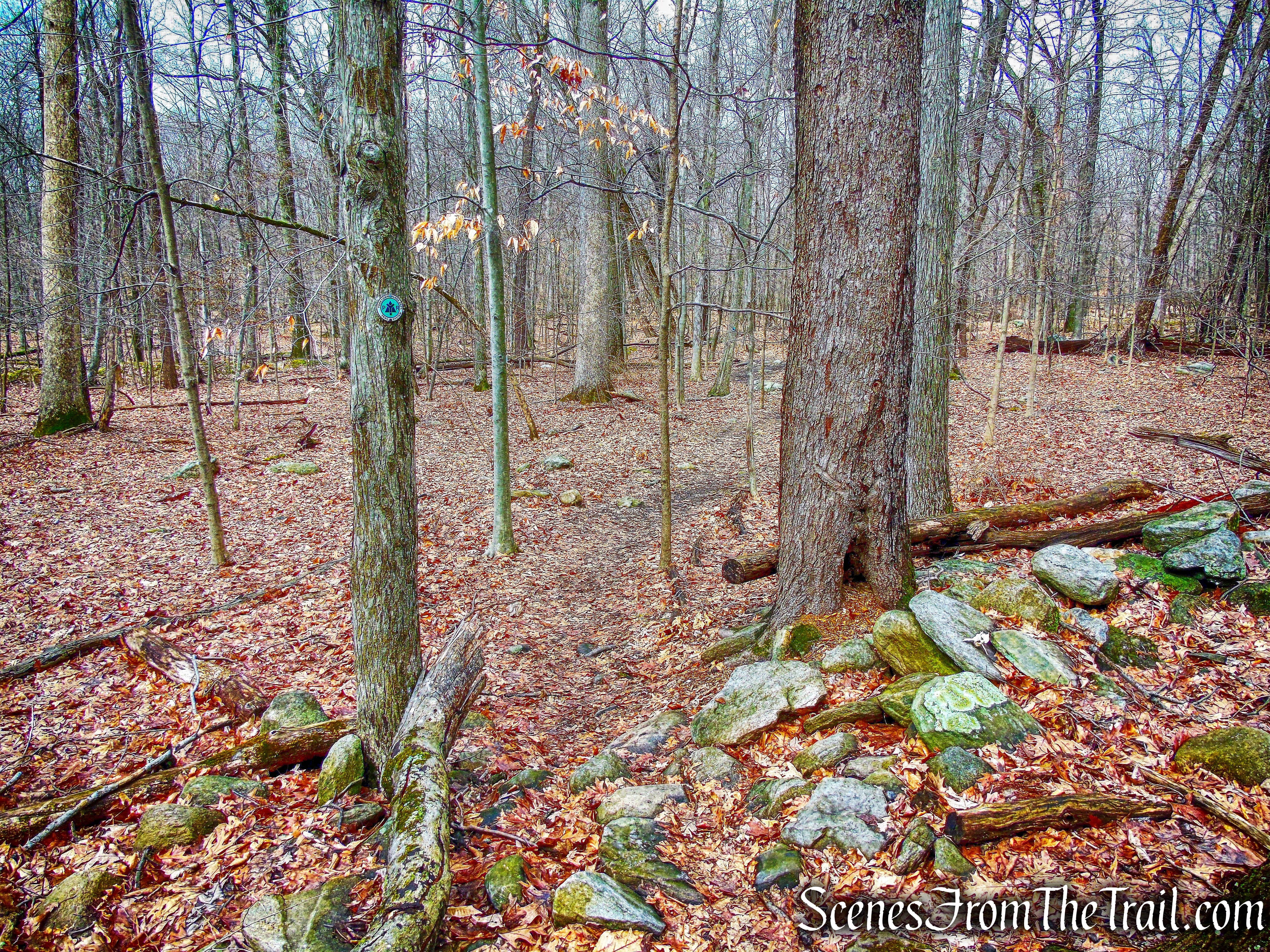 Old Farm Trail