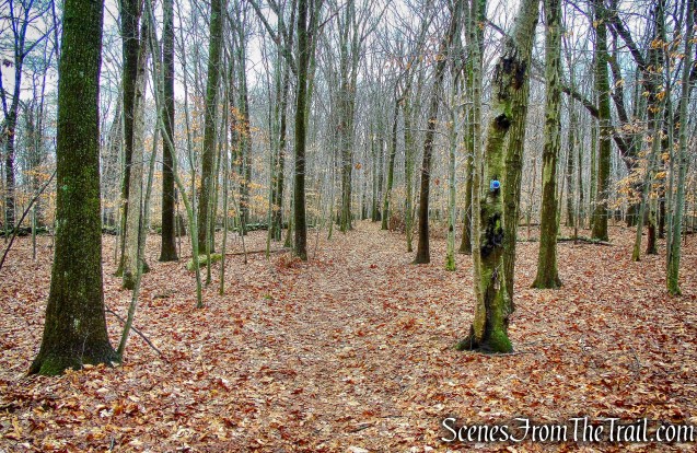 blue-blazed High Quarry Trail