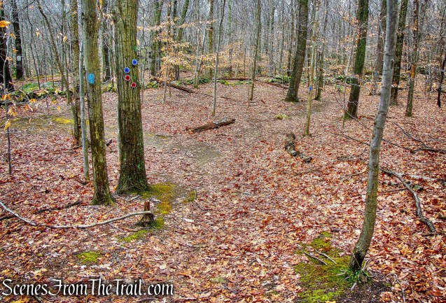 turn left on the red-blazed Sylvan Glen Trail