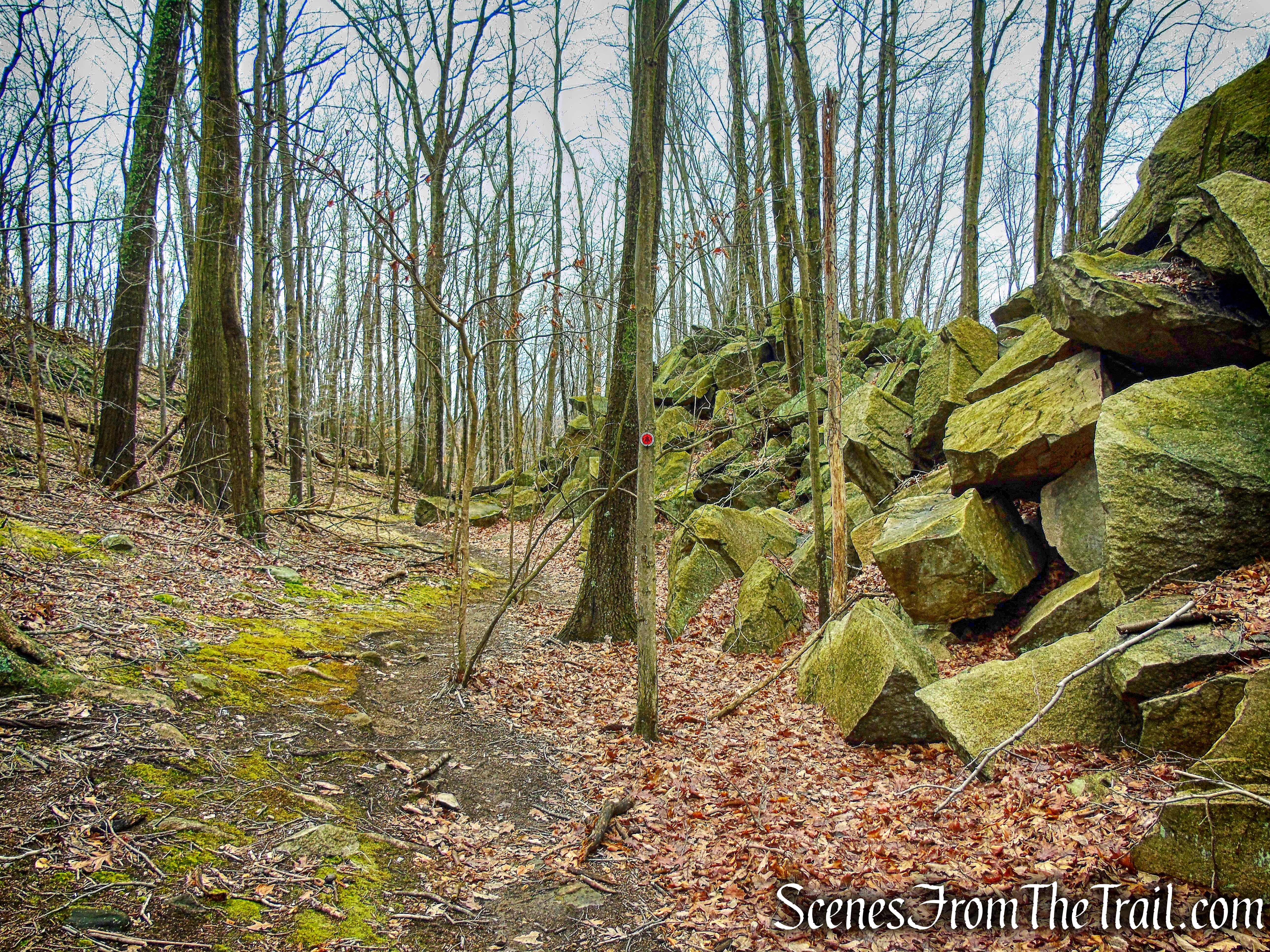 Sylvan Glen Trail