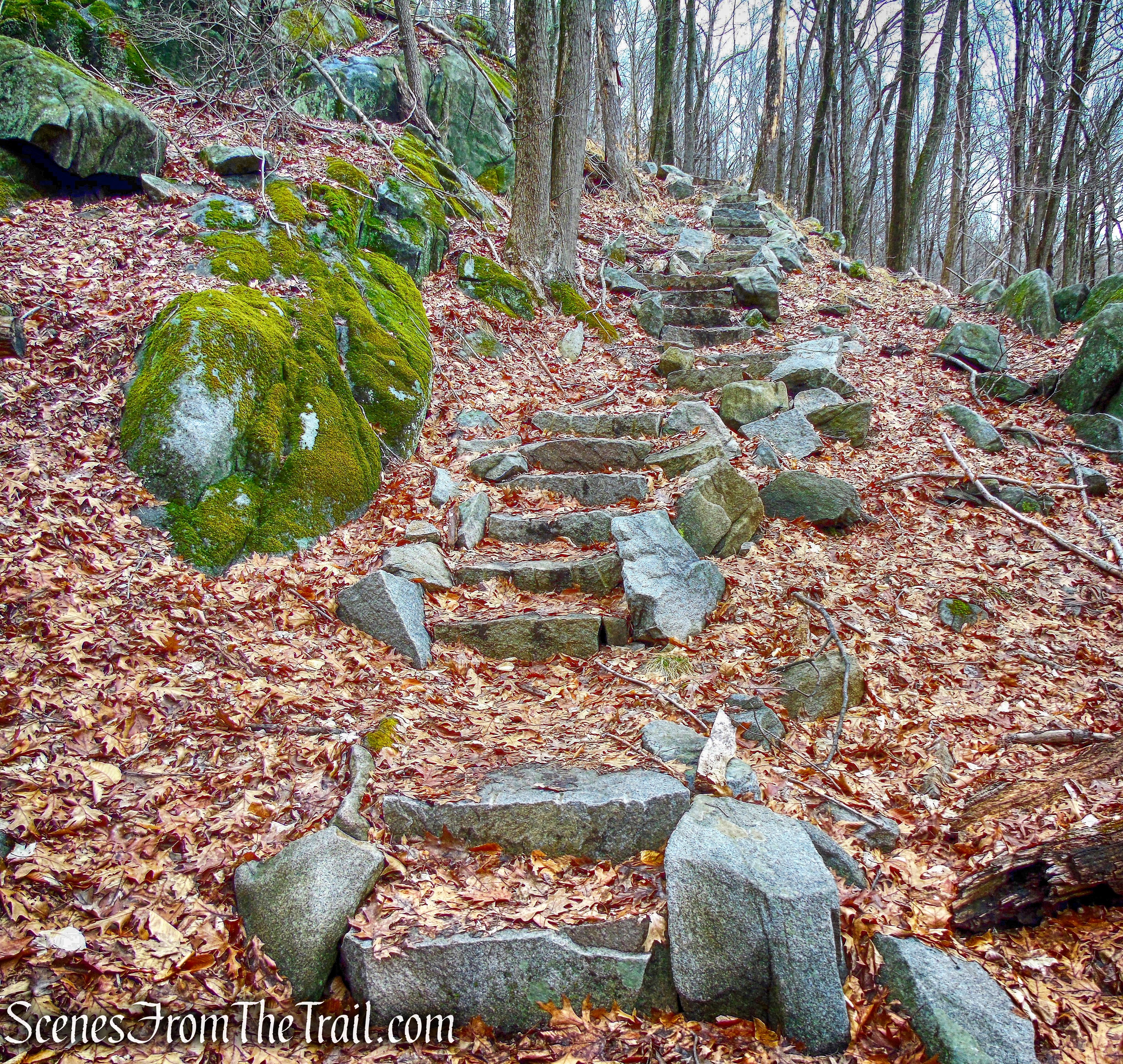 stone steps - Sylvan Glen Trail