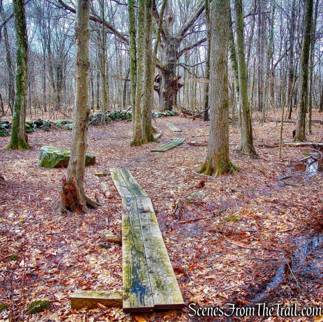 yellow-blazed Quarry Oak Trail