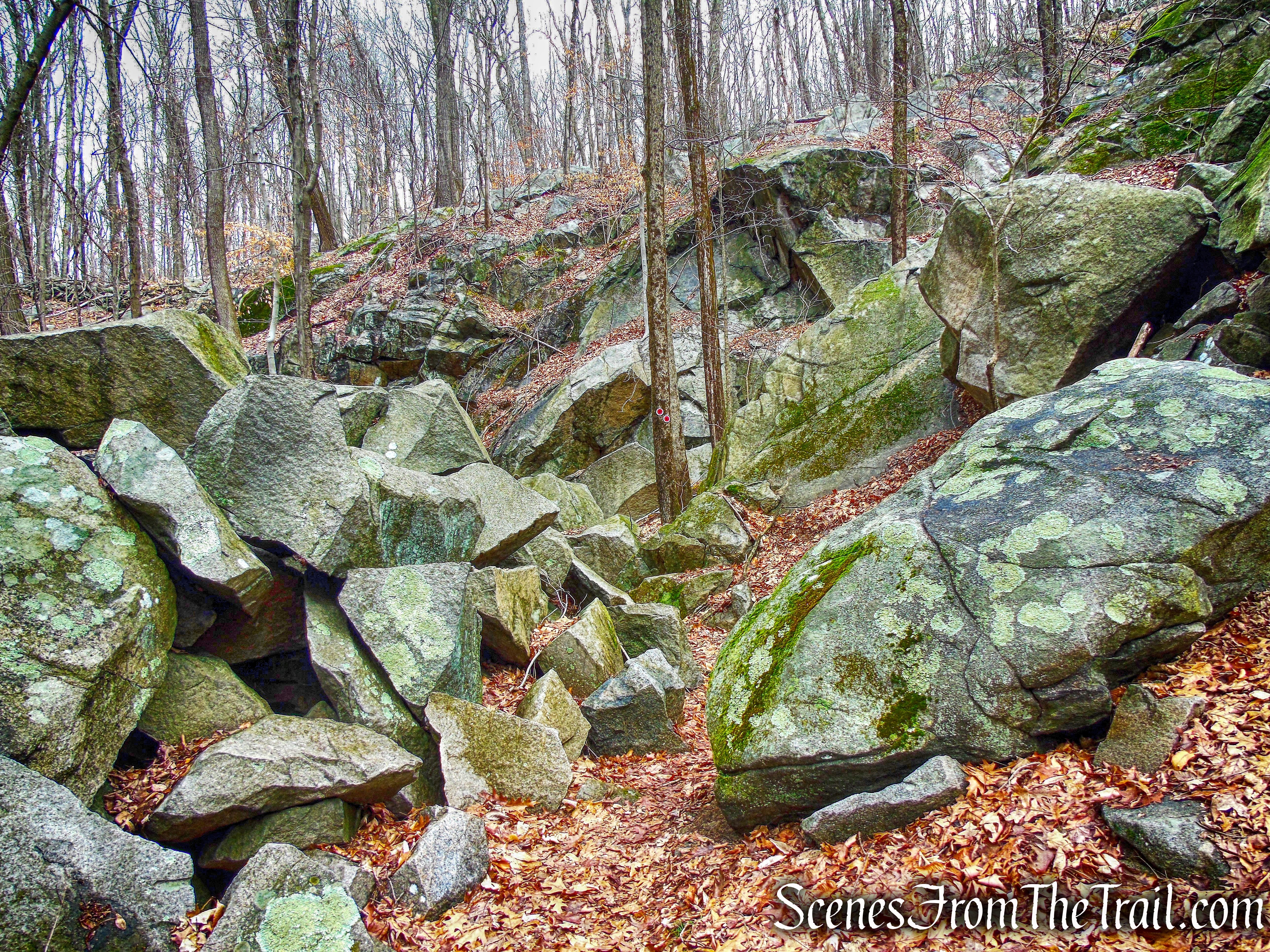 Sylvan Glen Trail