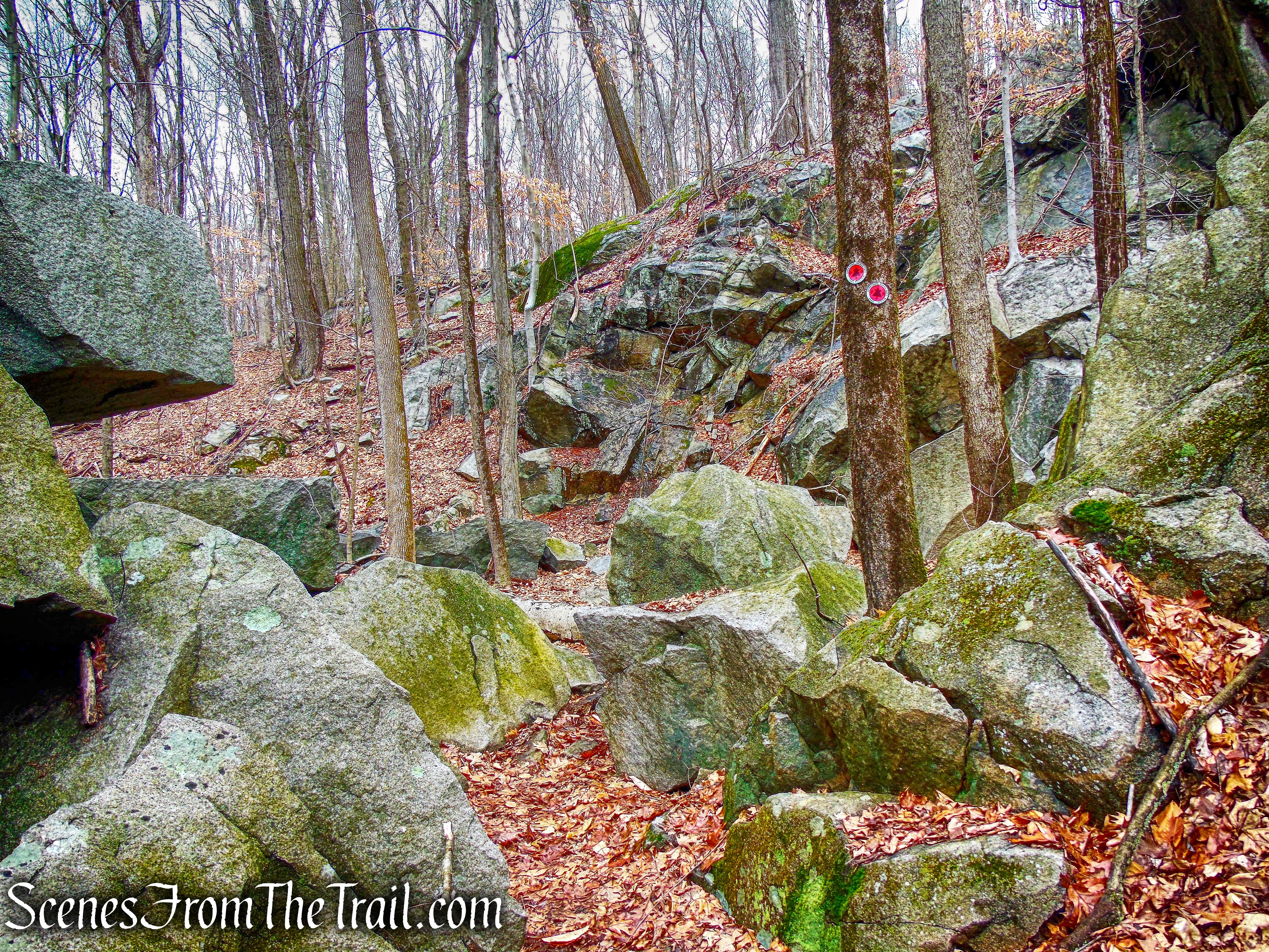 Sylvan Glen Trail 