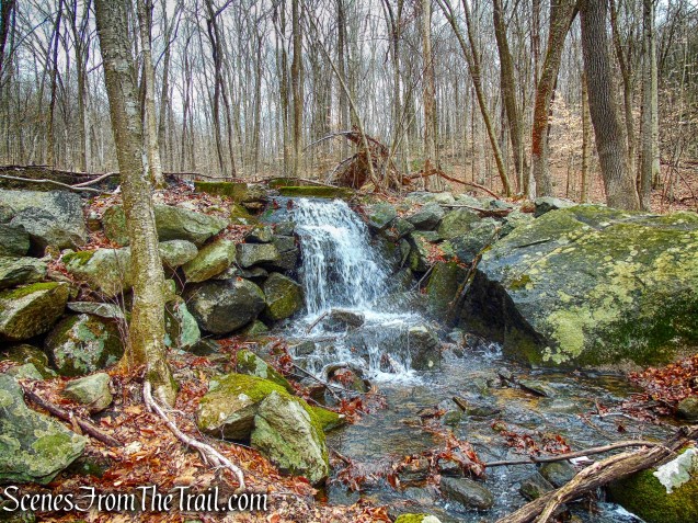 Sylvan Brook cascade