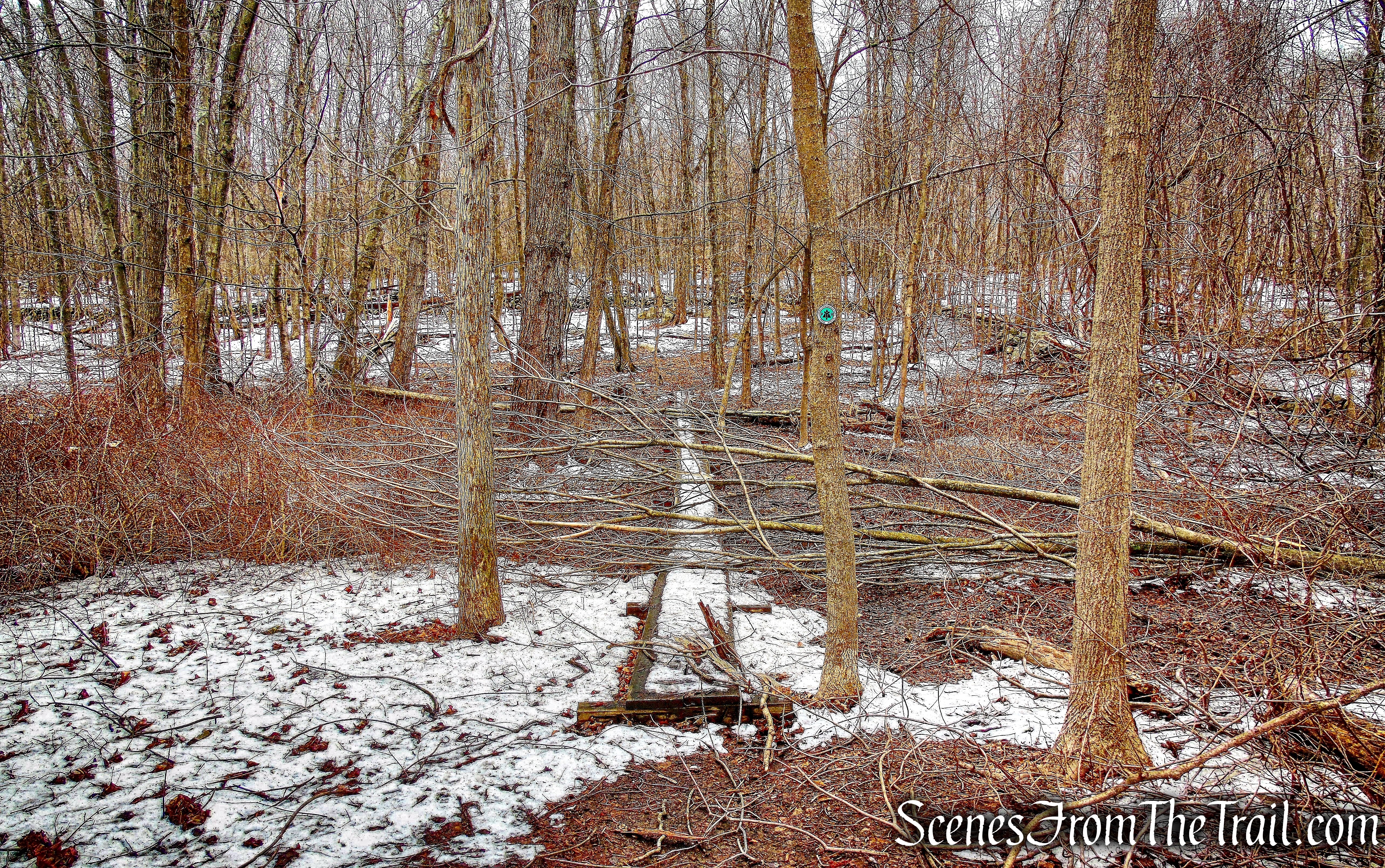 Old Farm Trail - Sylvan Glen Nature Preserve