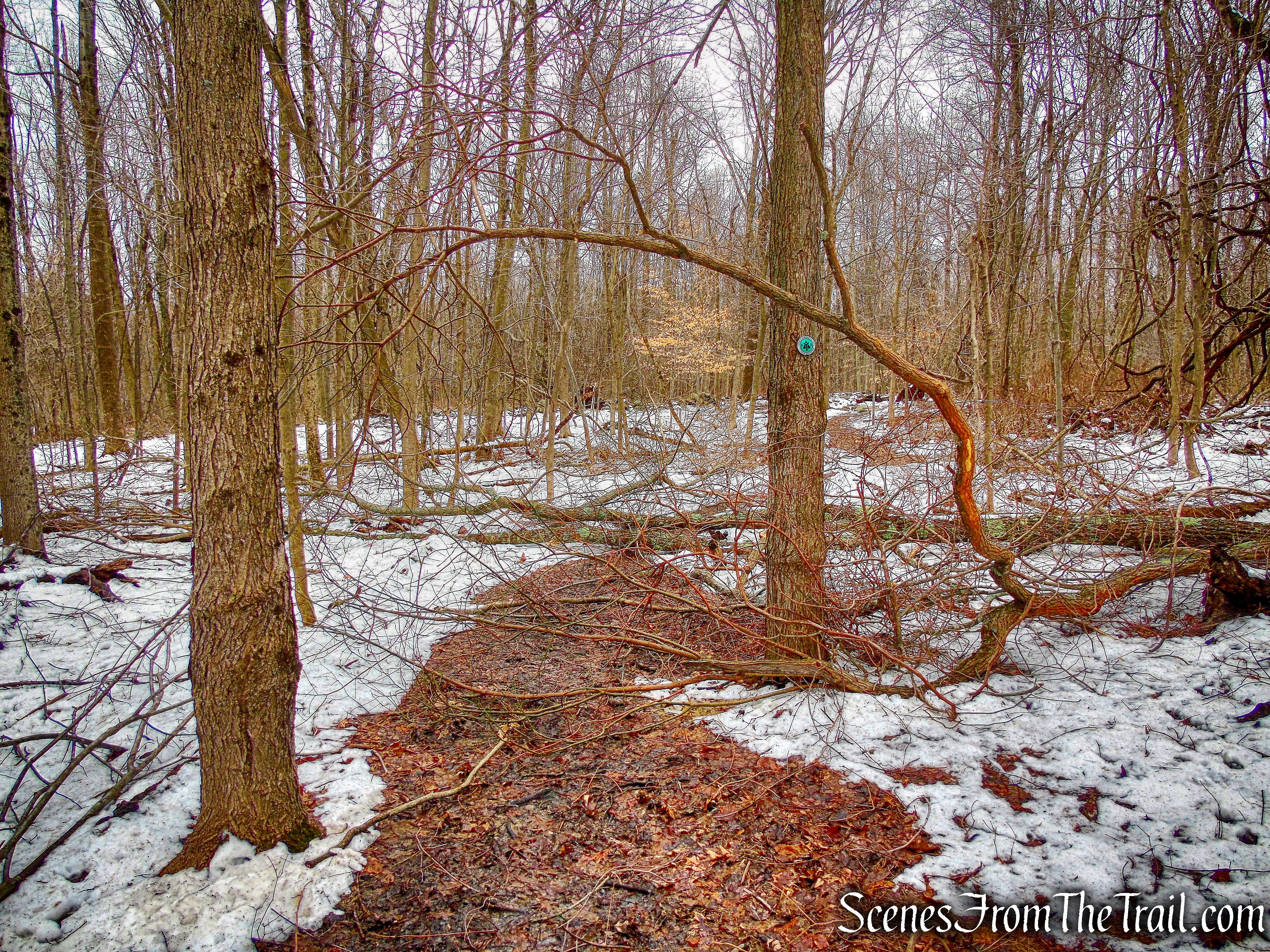 Old Farm Trail - Sylvan Glen Nature Preserve