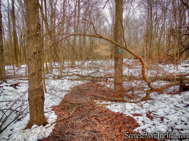 Old Farm Trail - Sylvan Glen Nature Preserve