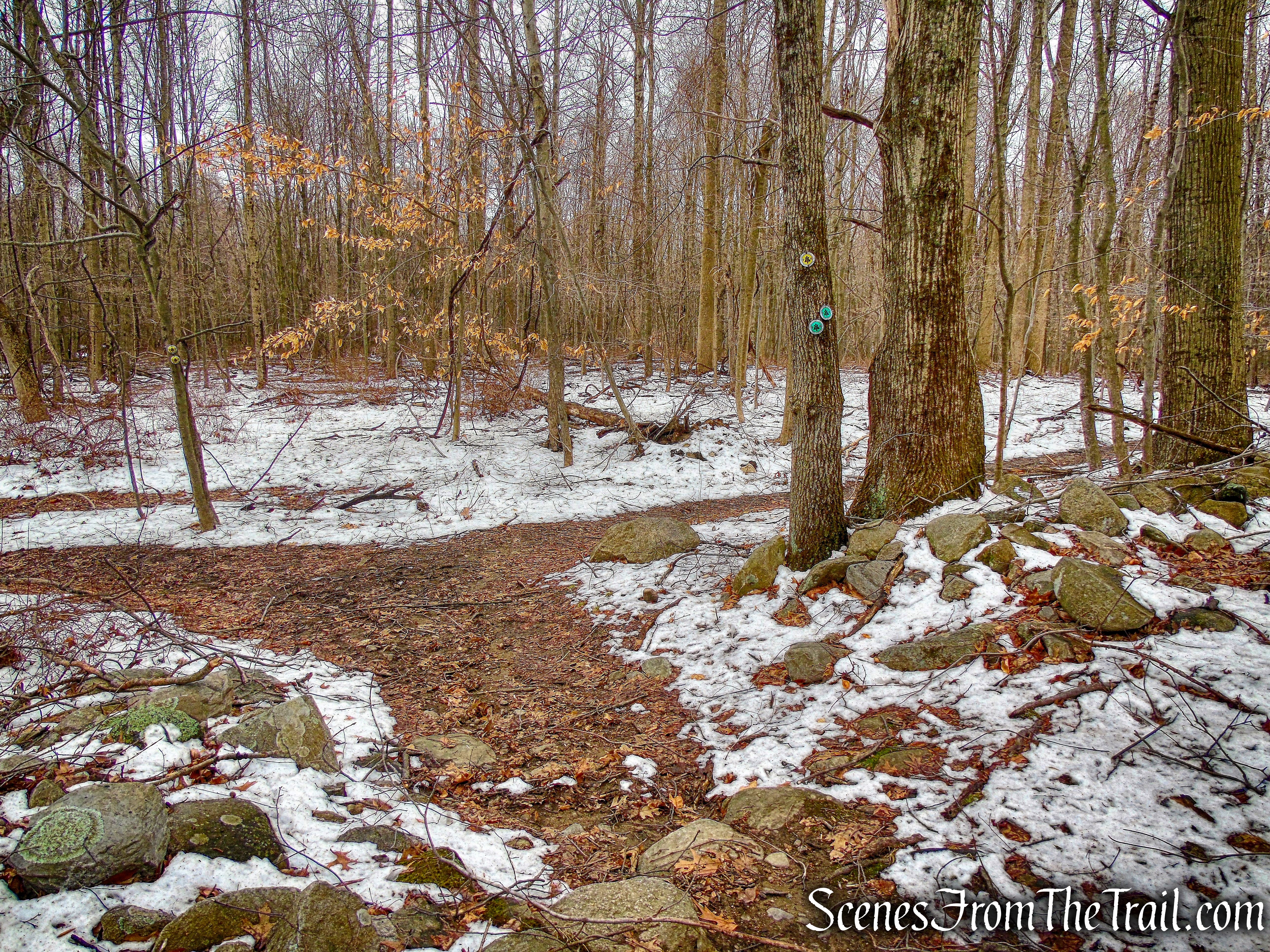 Old Farm Trail - Sylvan Glen Nature Preserve