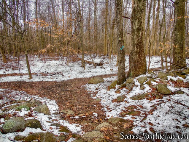 Old Farm Trail - Sylvan Glen Nature Preserve