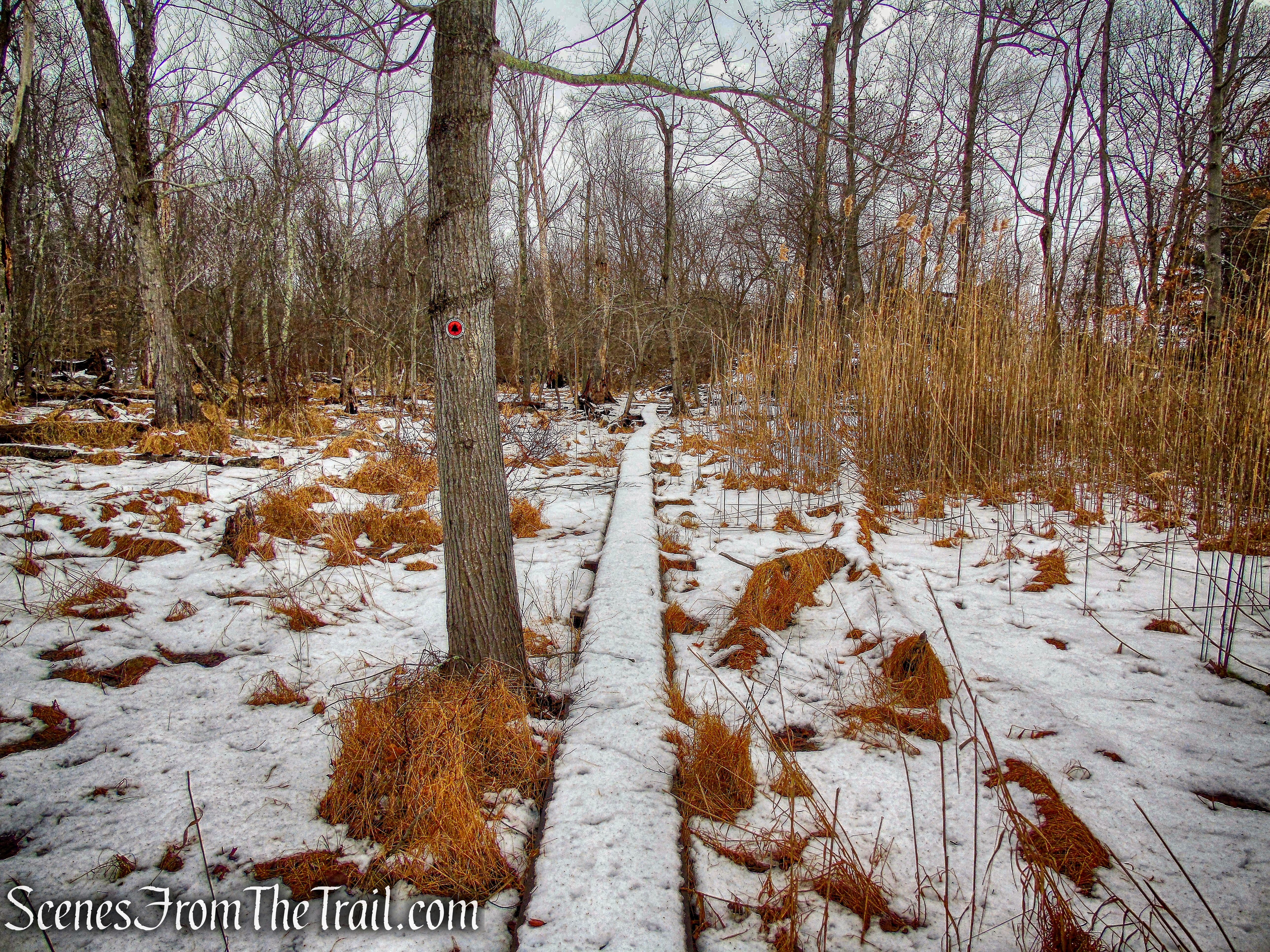 Taconic Bridge Trail