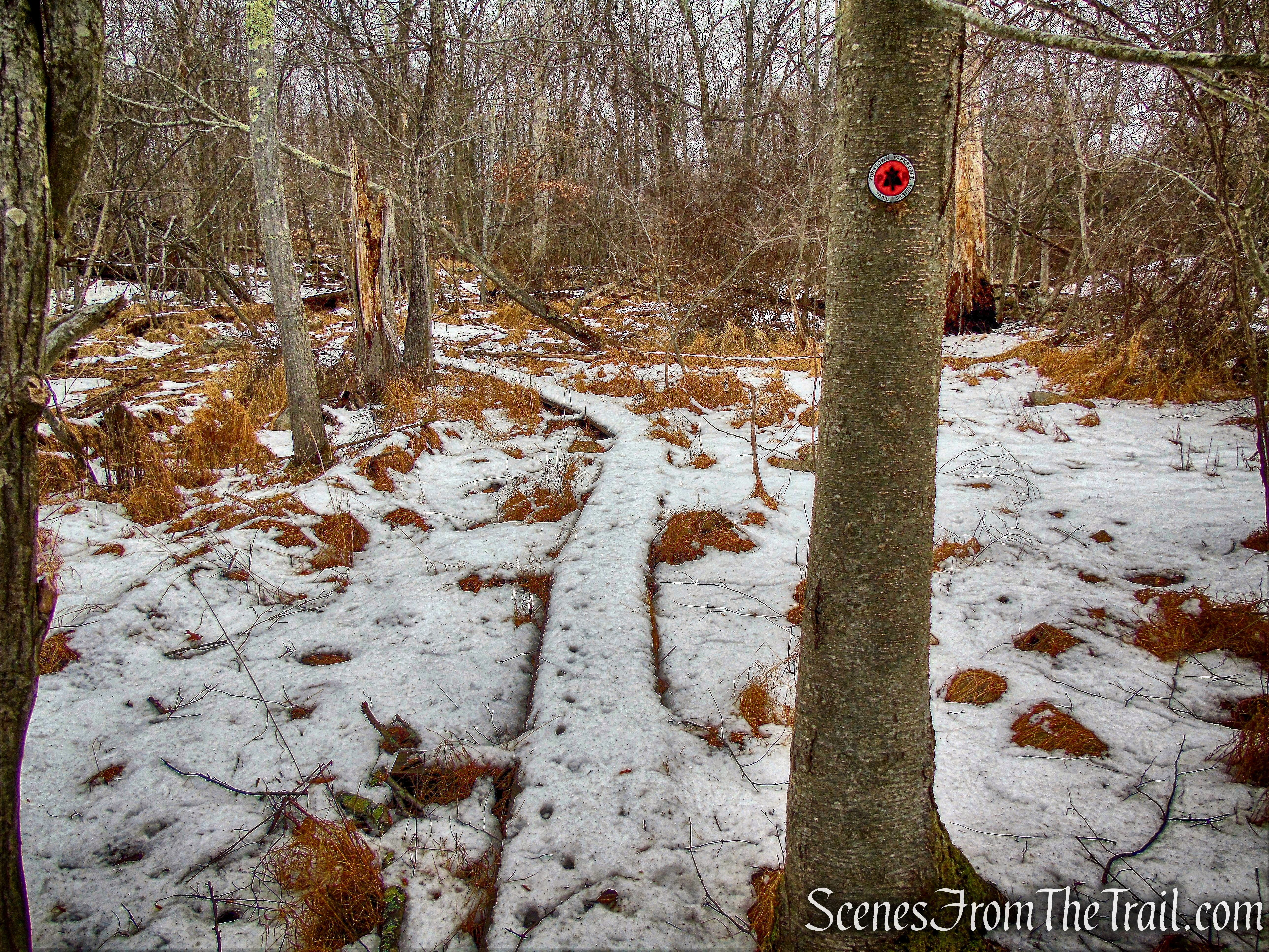 Taconic Bridge Trail
