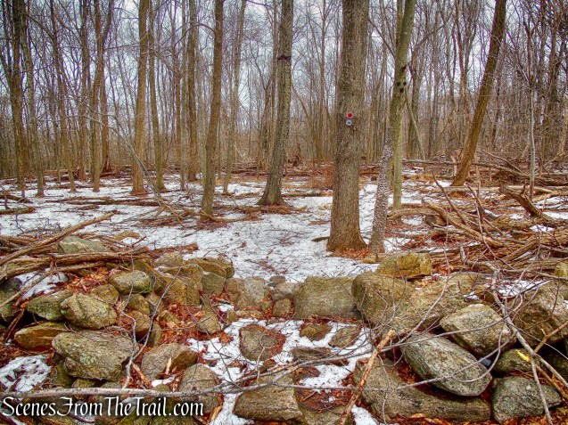 co-aligned Seminary Ridge/Taconic Bridge trails