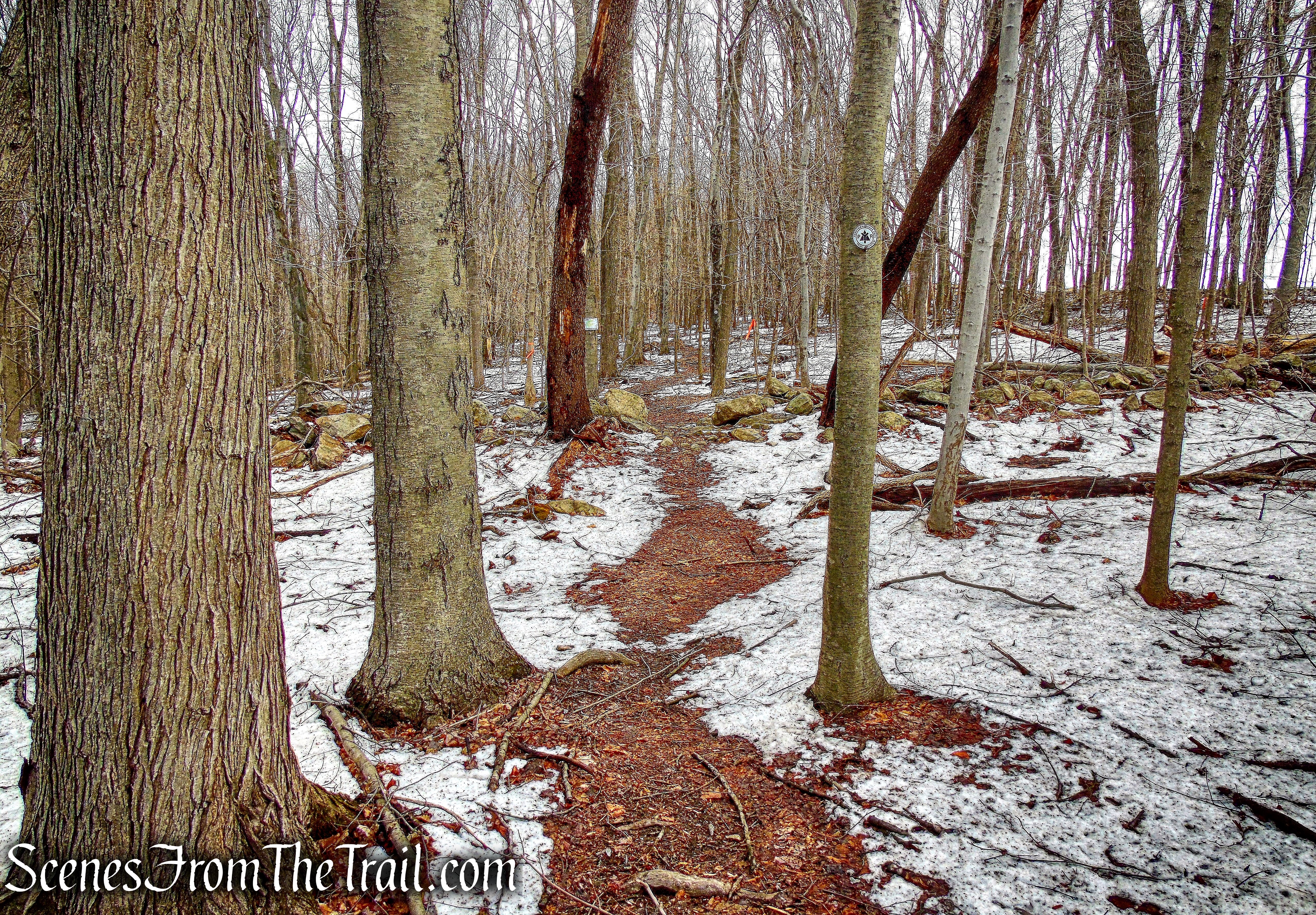 Seminary Ridge Trail