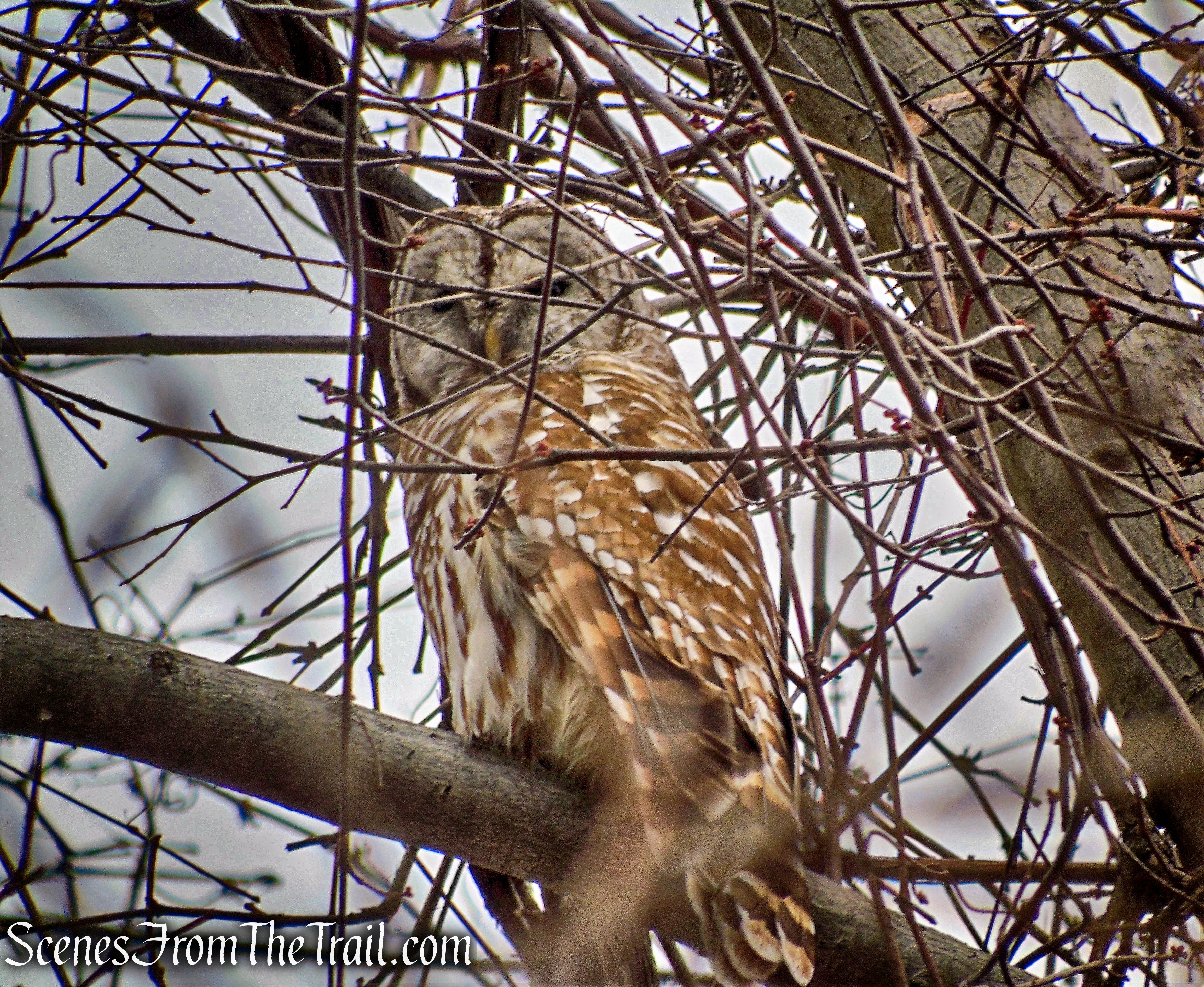 DSC04502 (2)_HDR_marked