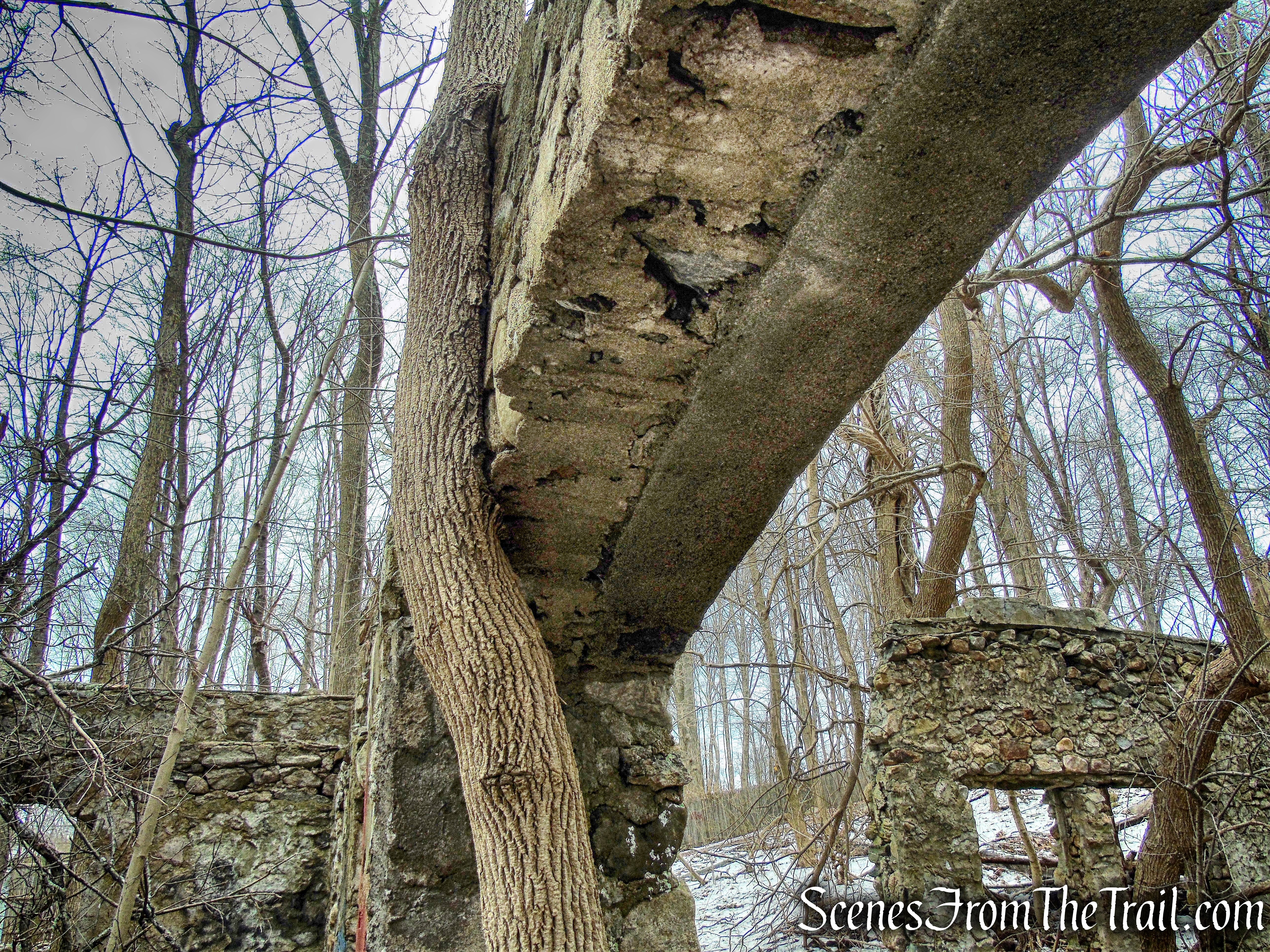 general purpose building -  Mohegan Farm ruins