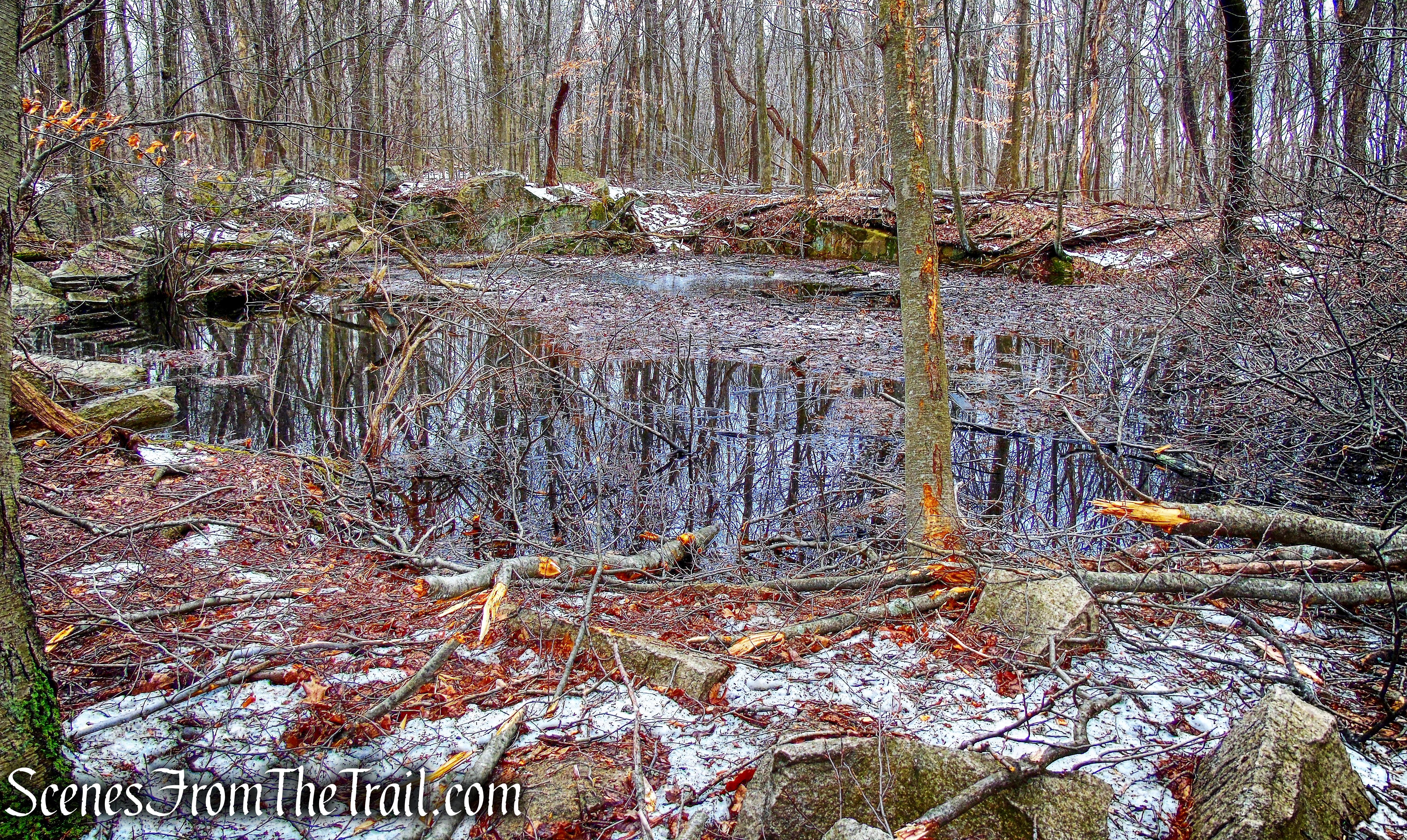 water-filled quarry - Taconic Bridge Trail 