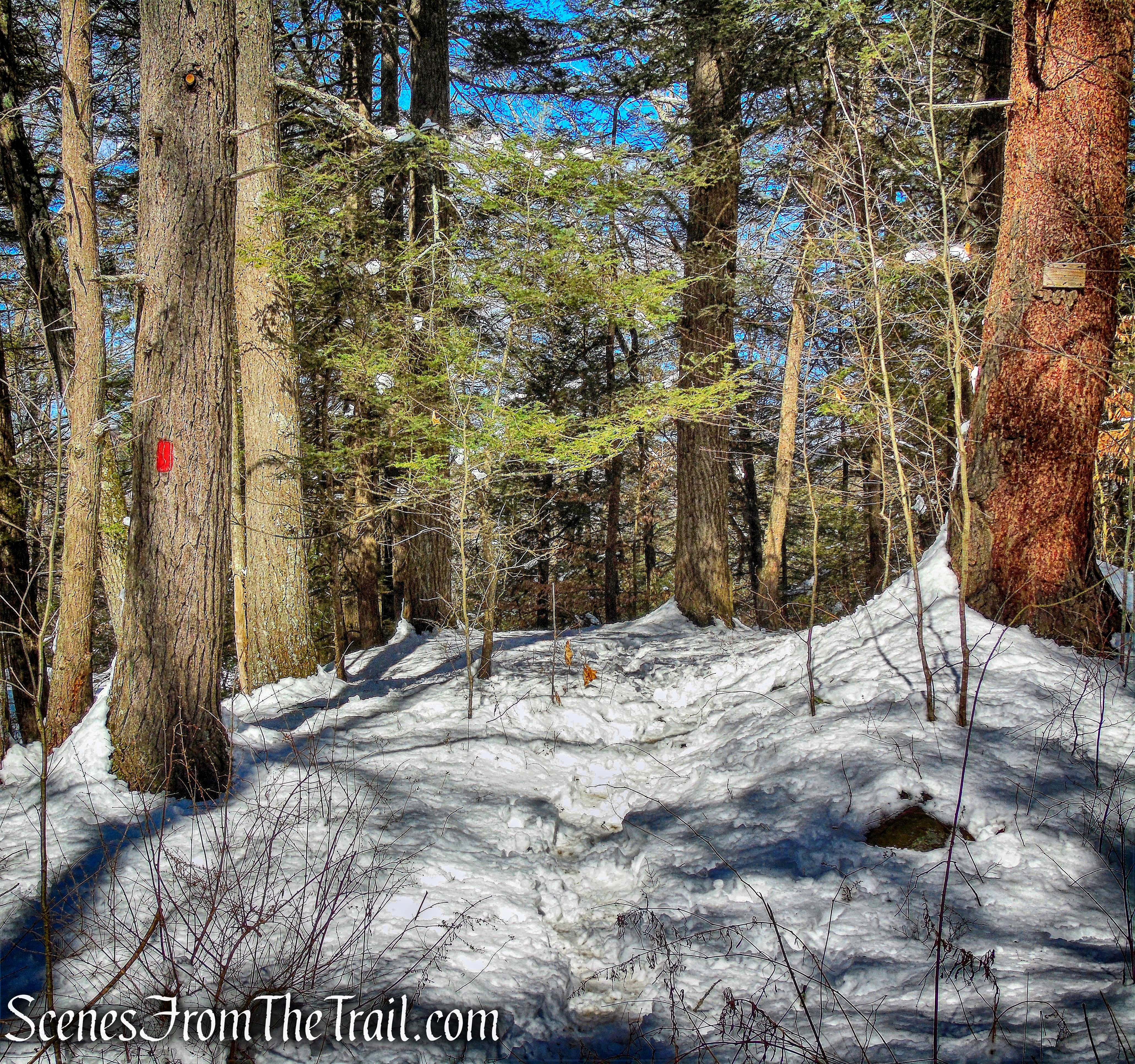 red-blazed North Ridge Trail