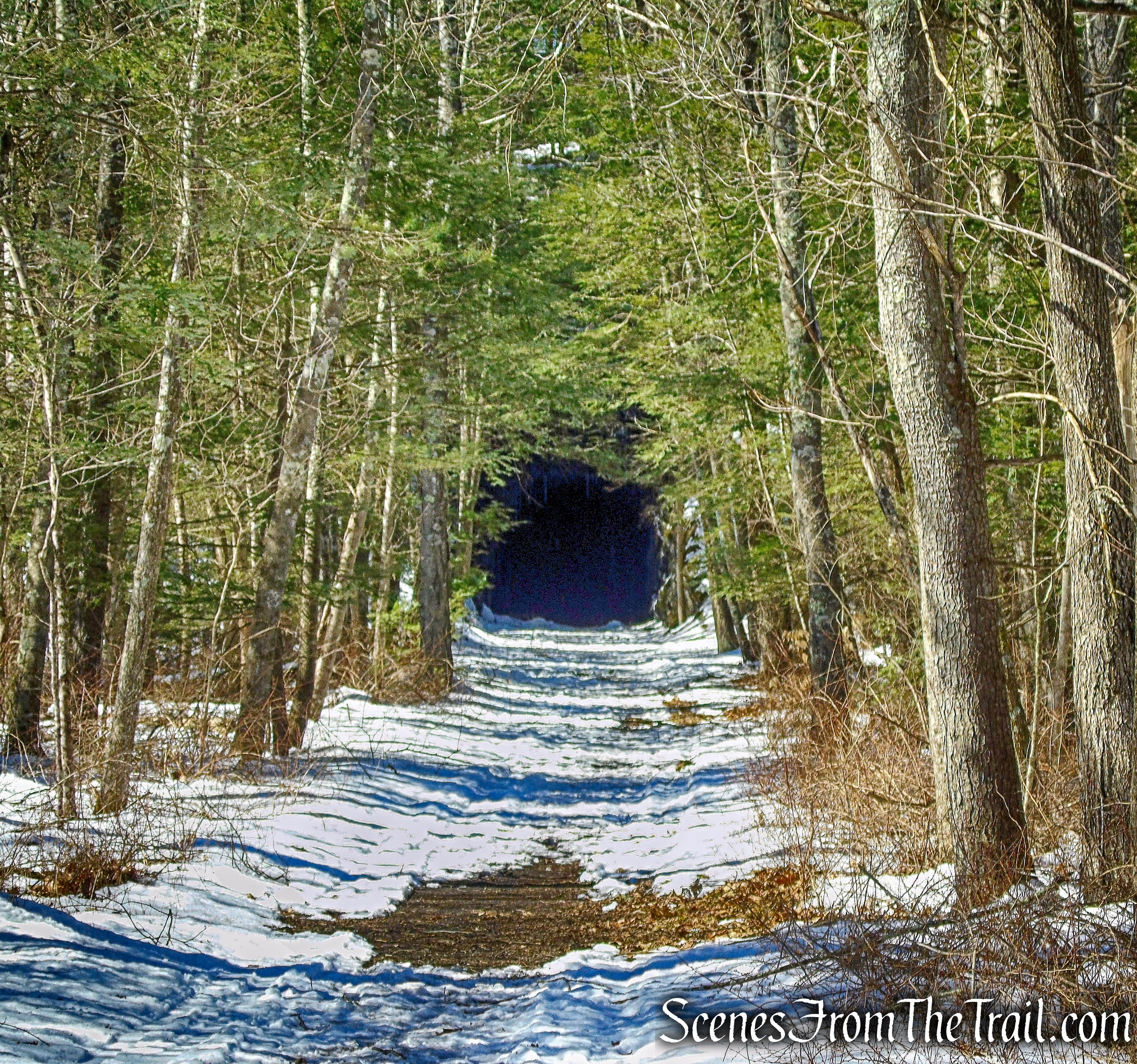 railroad tunnel - Pinney Loop Trail