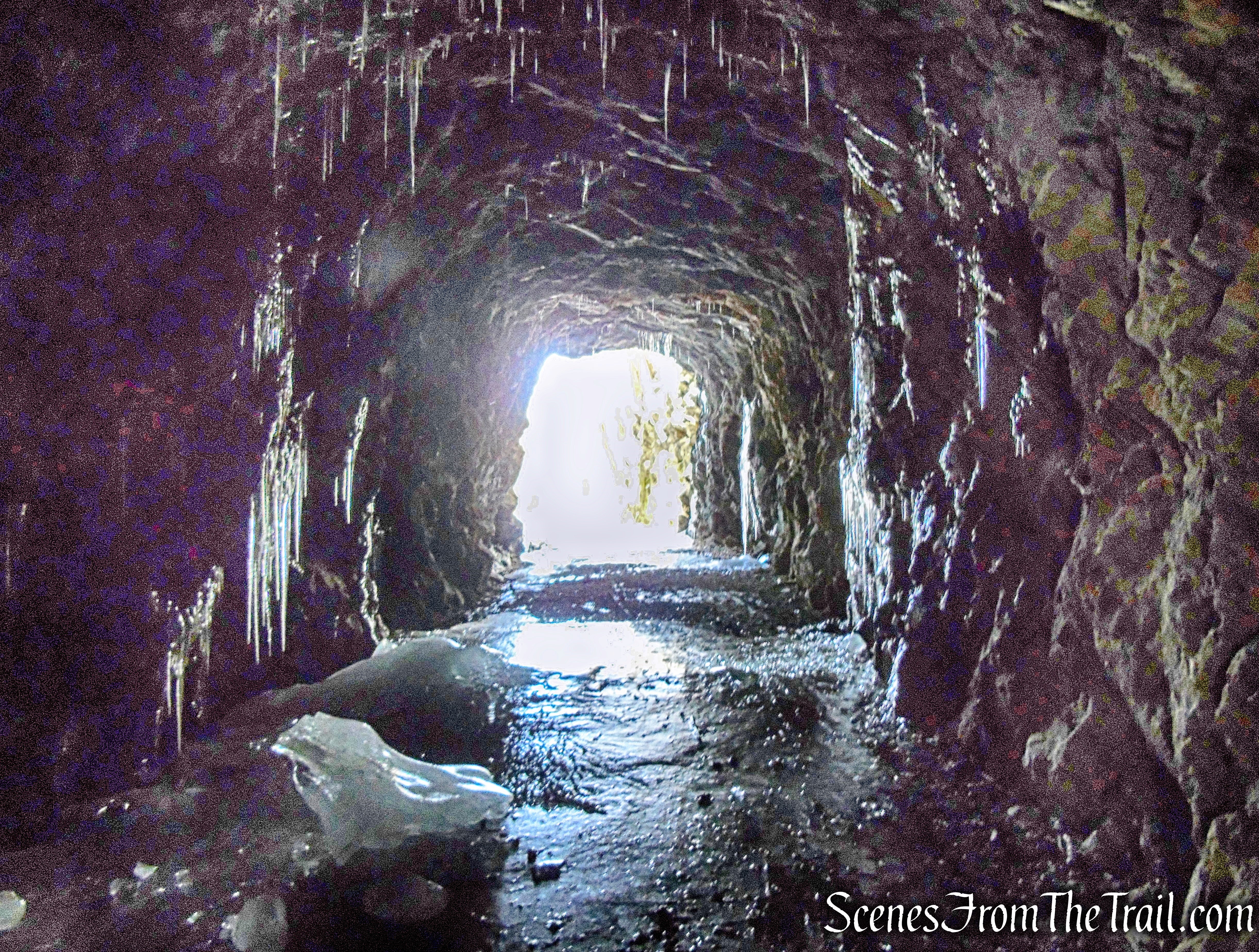 railroad tunnel - Pinney Loop Trail