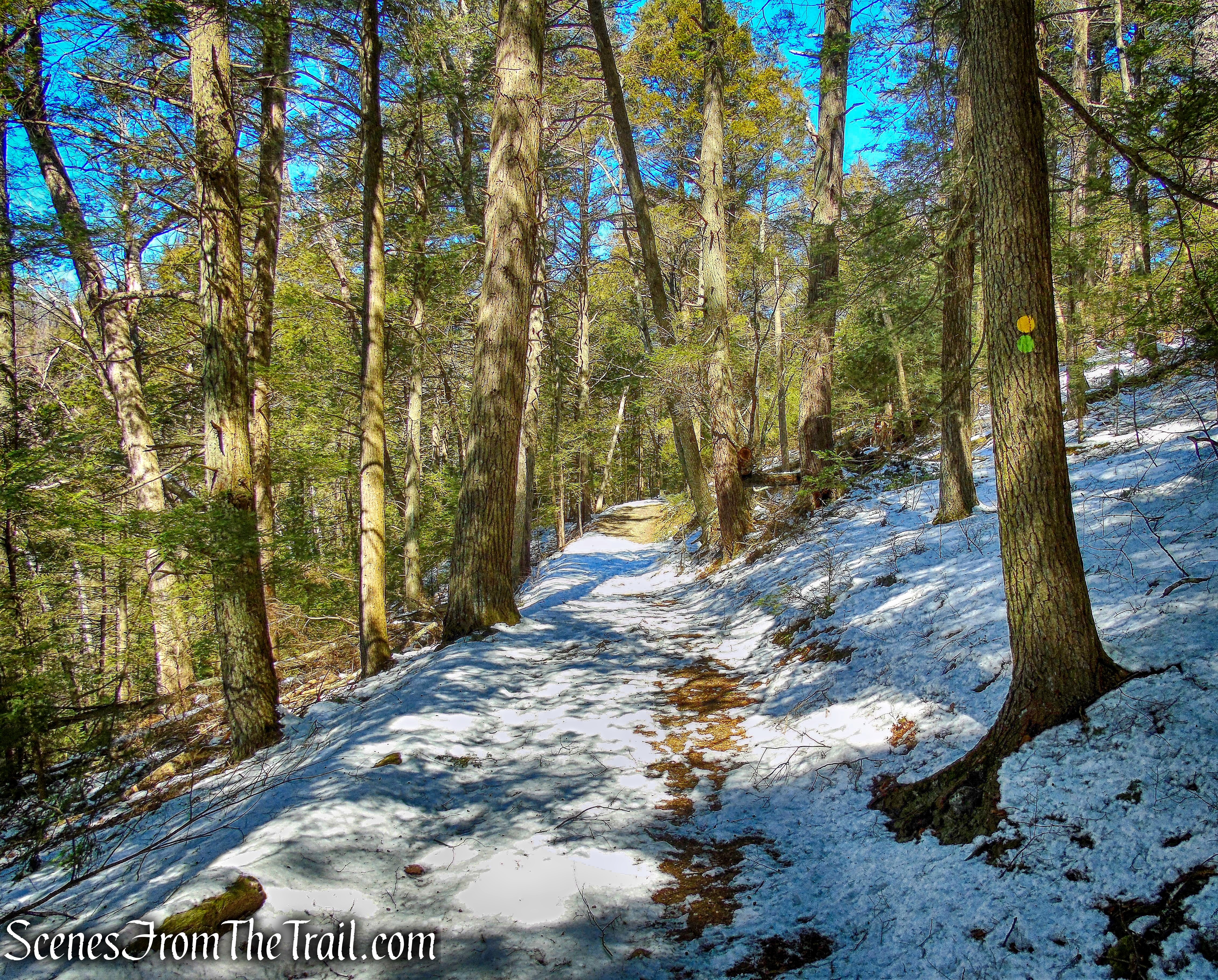 joint Green Circle/Steep Rock Loop Trails