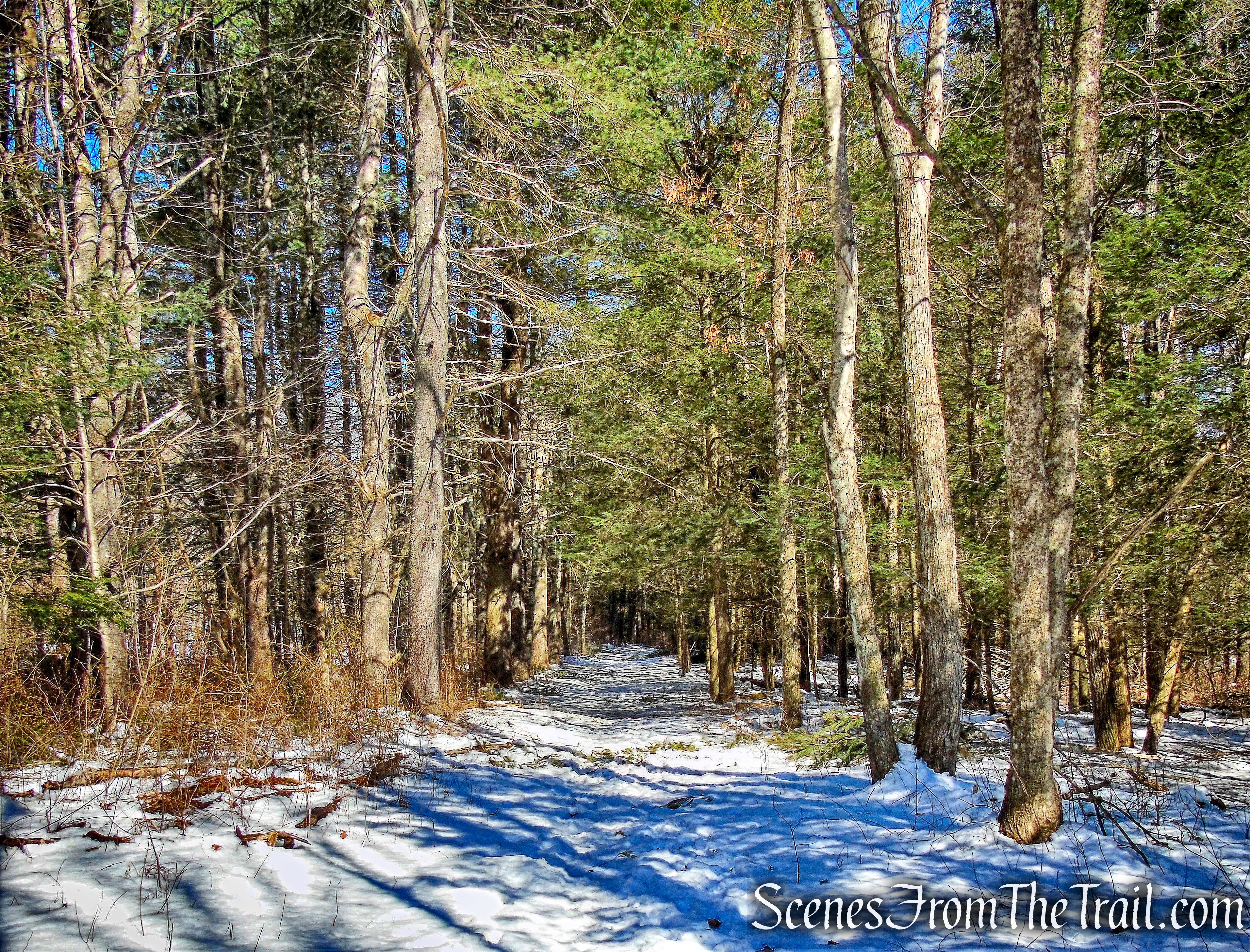 Steep Rock Loop Trail