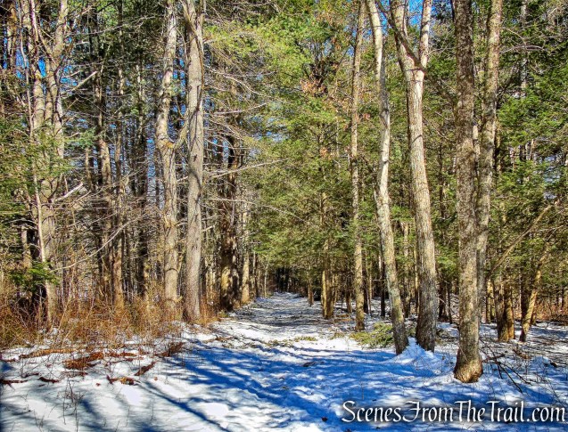 Steep Rock Loop Trail
