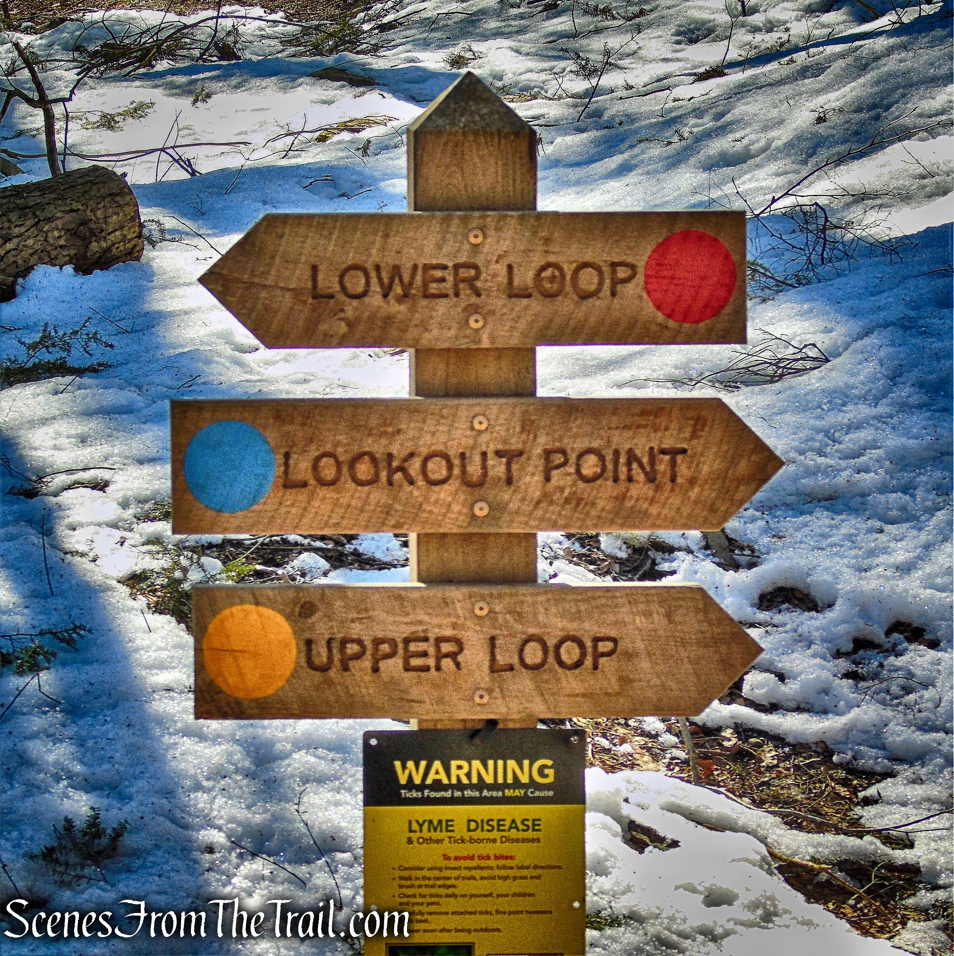 Turn right at the sign for the Lookout Point Trail