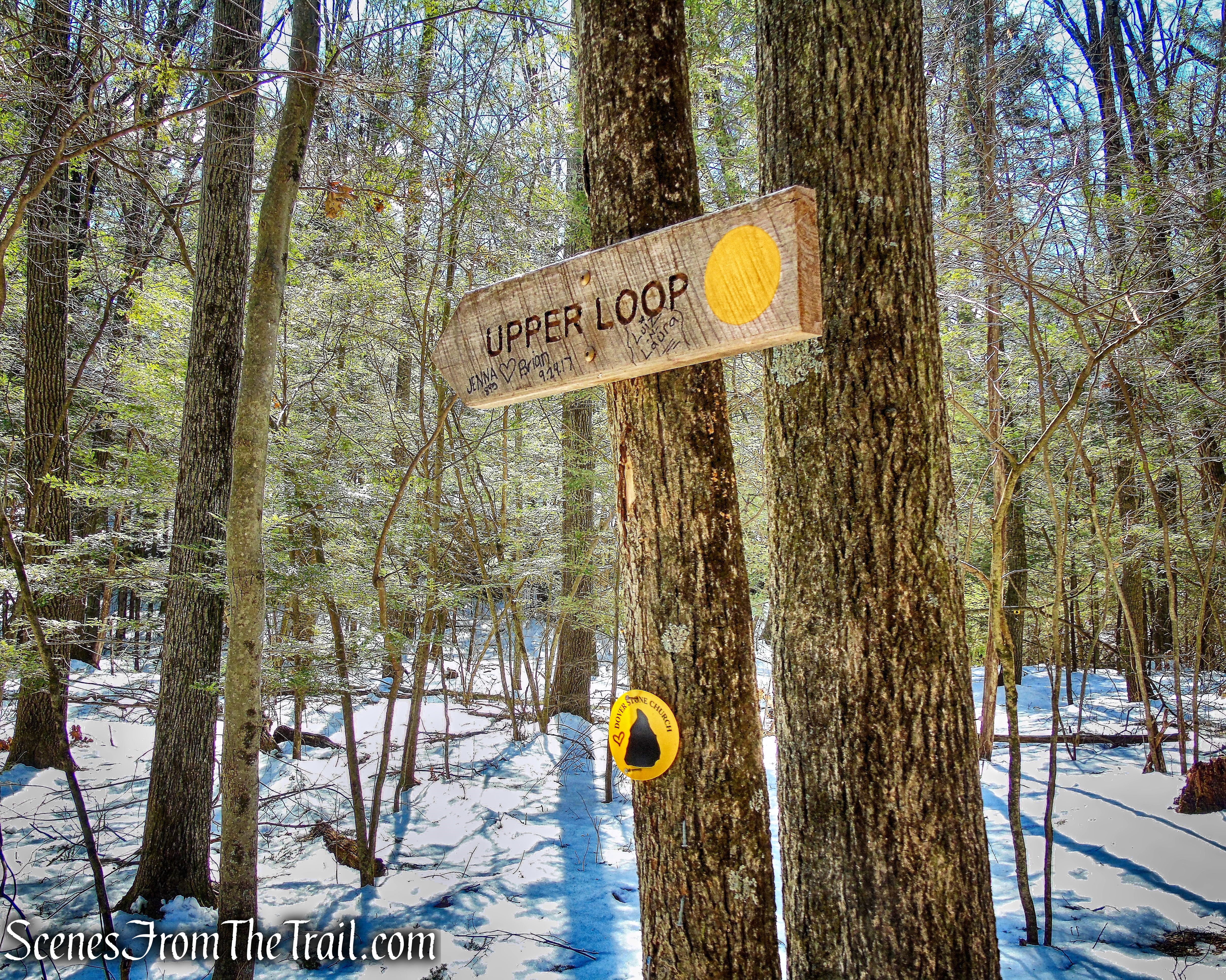 junction with the yellow-blazed Upper Loop Trail