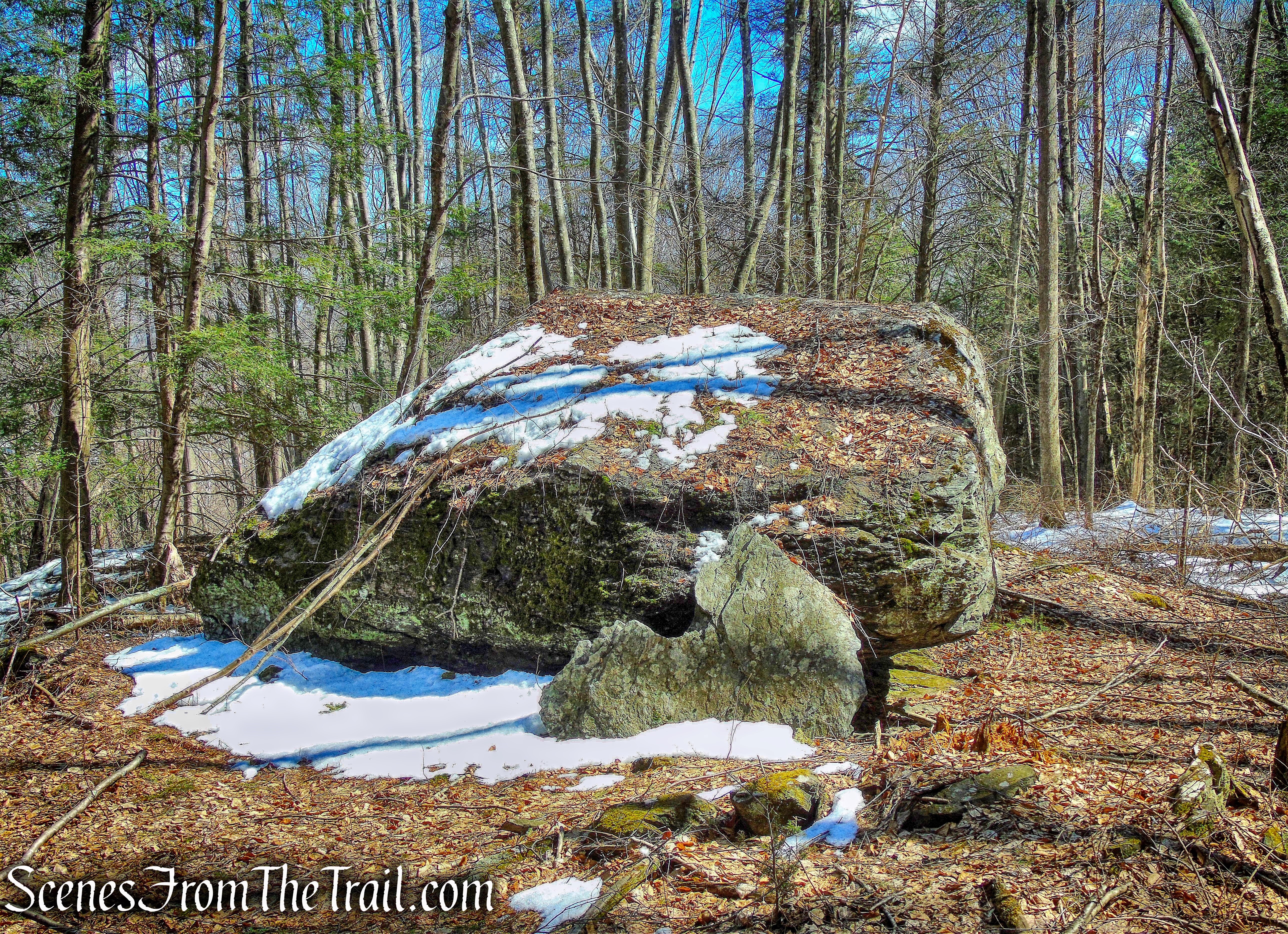 glacial erratic - Upper Loop Trail