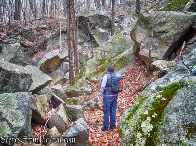 Sylvan Glen Park Preserve