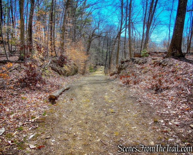 wide woods road - Gillette Castle