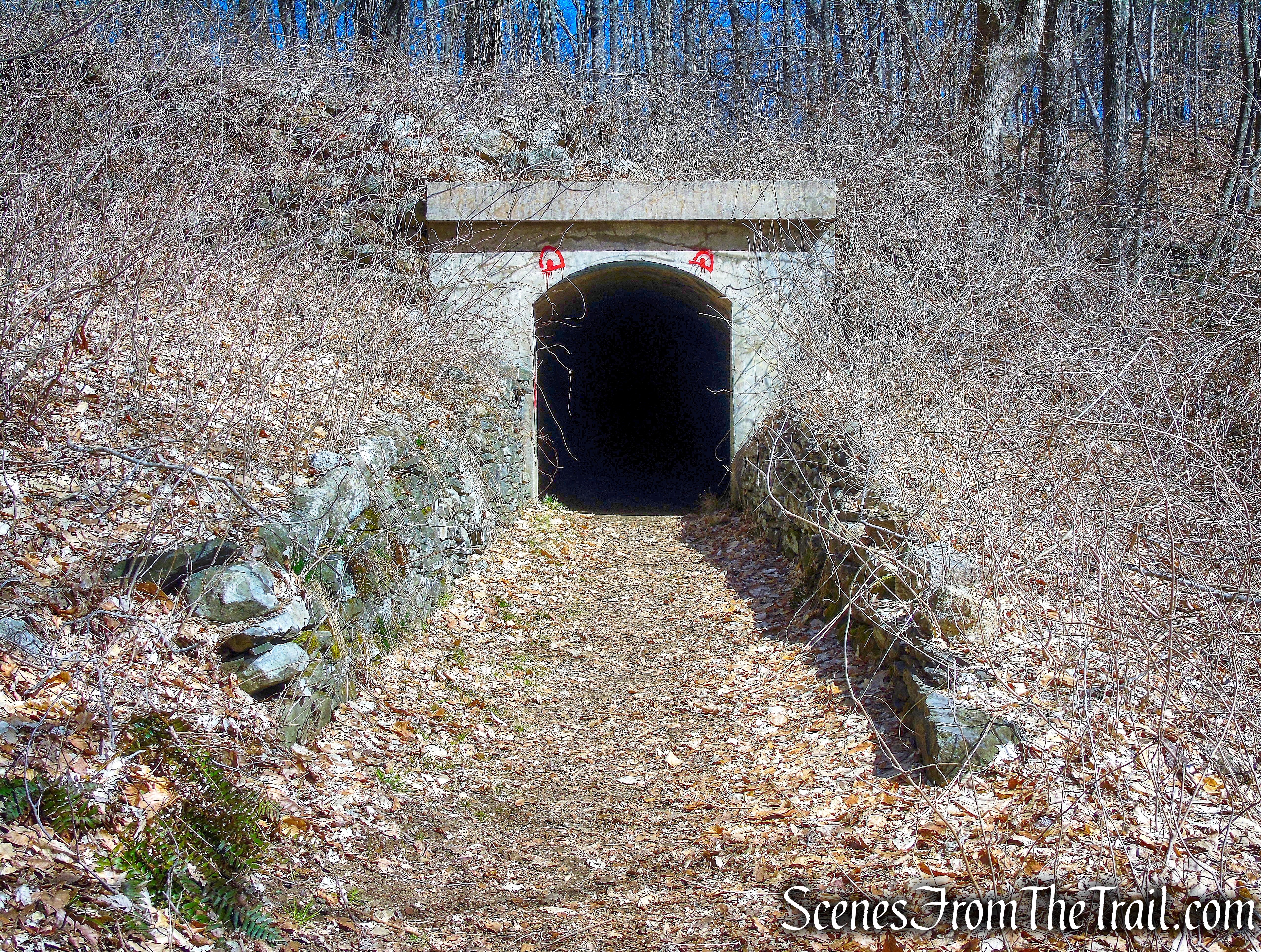 train tunnel - Gillette Castle State Park