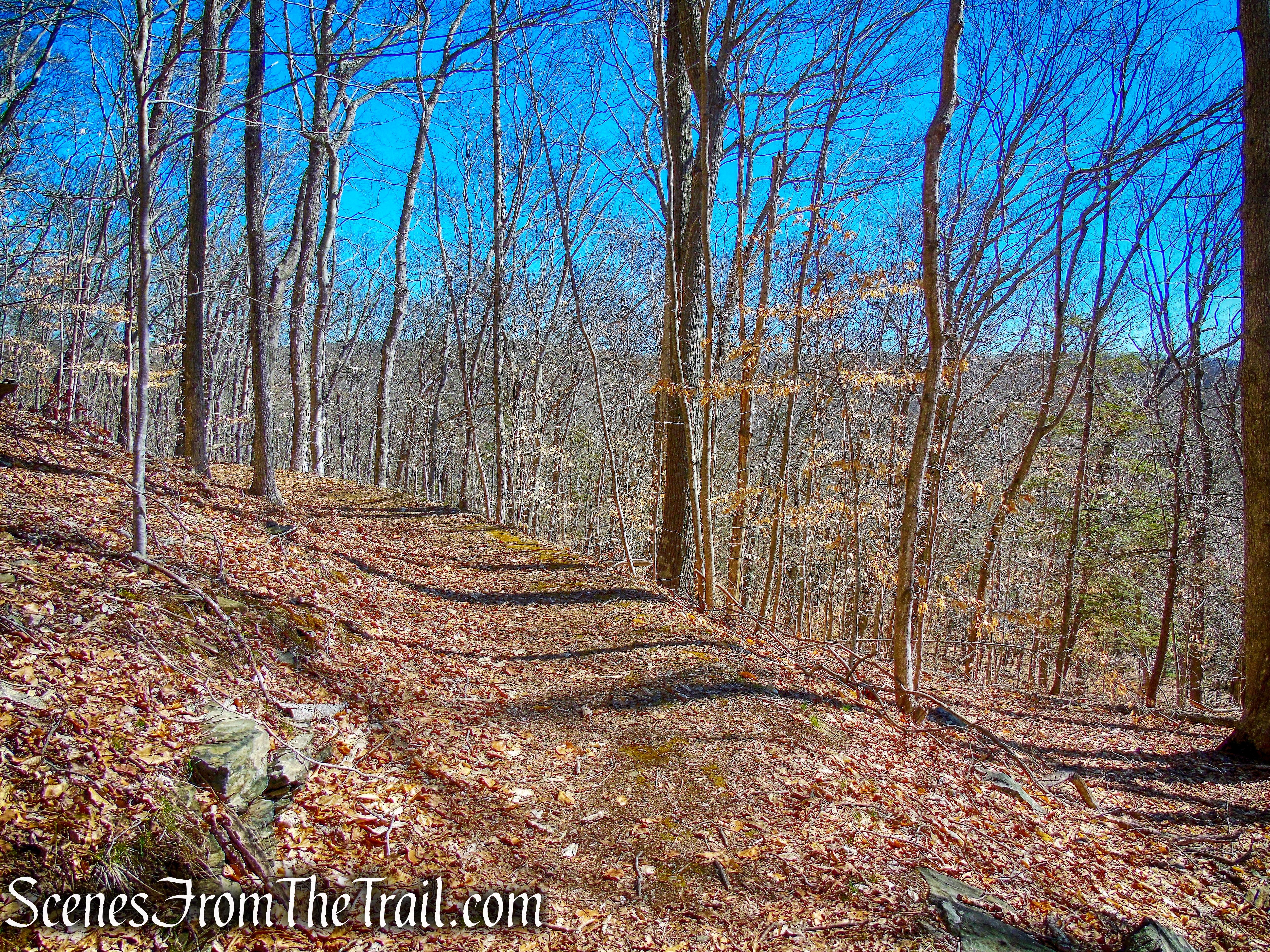 railbed - Gillette Castle State Park