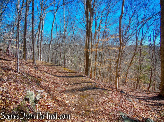 railbed - Gillette Castle State Park