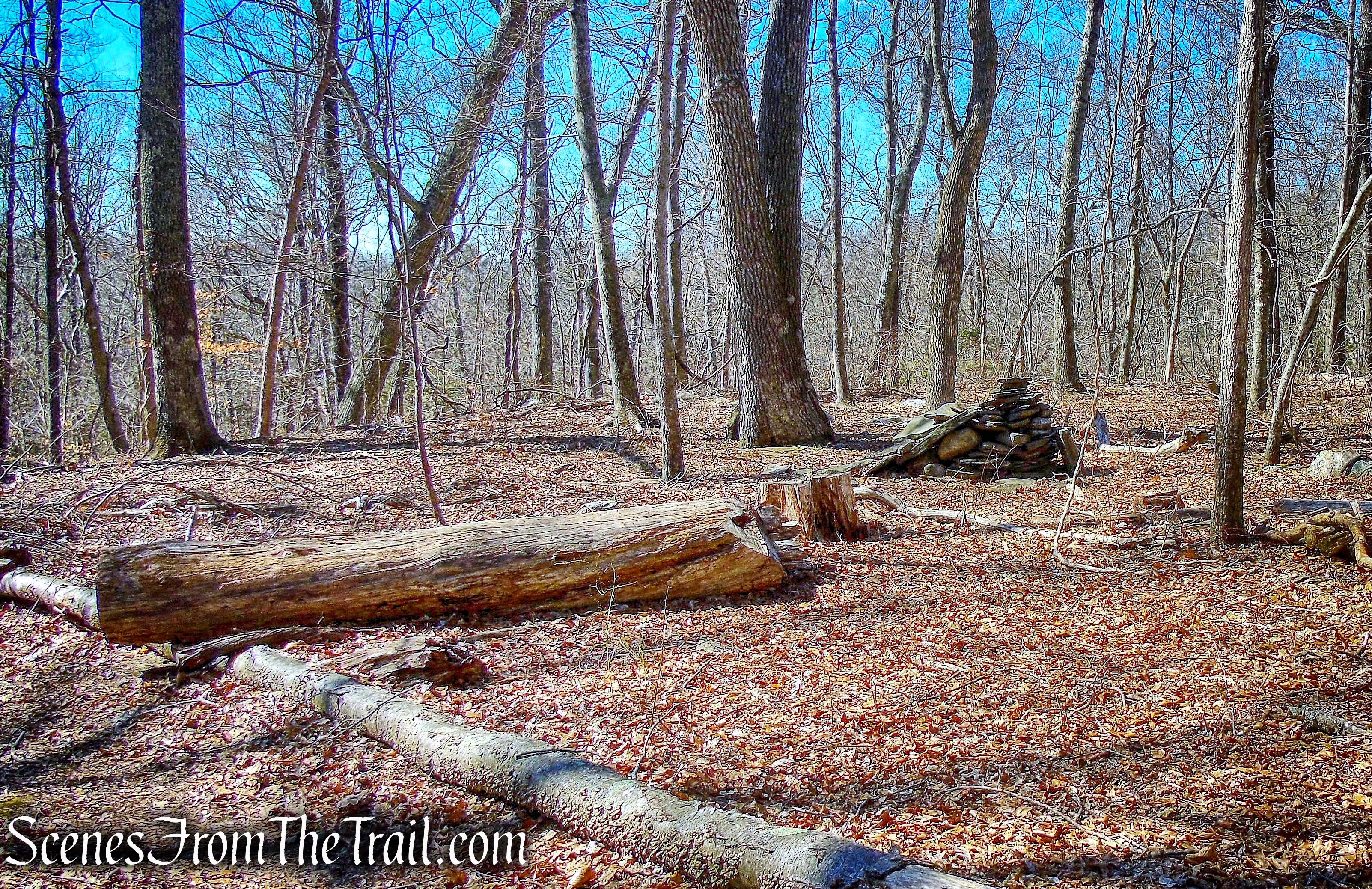stealth campsite - Gillette Castle State Park