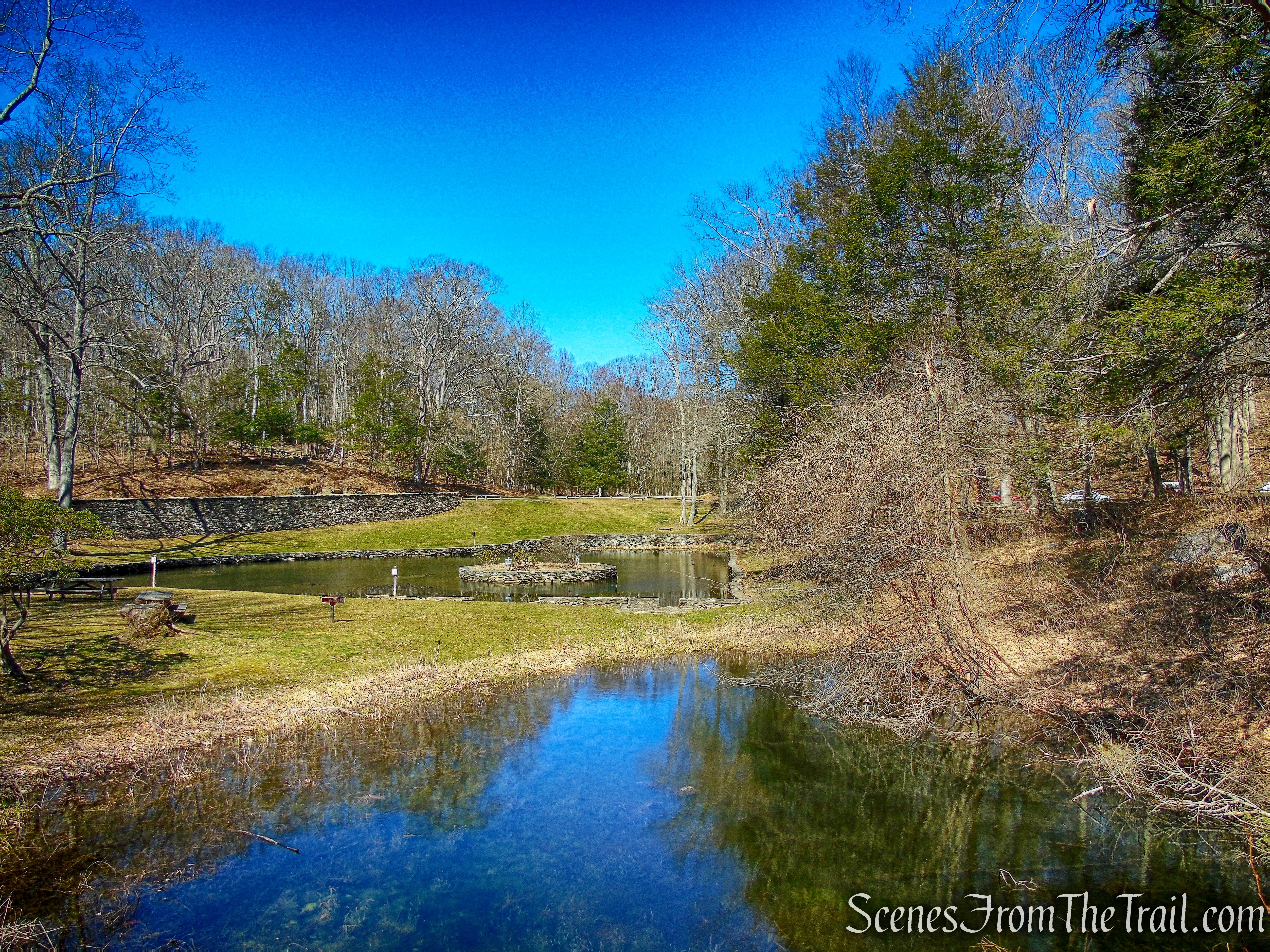 goldfish pond - Gillette Castle State Park
