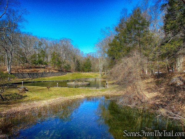 goldfish pond - Gillette Castle State Park