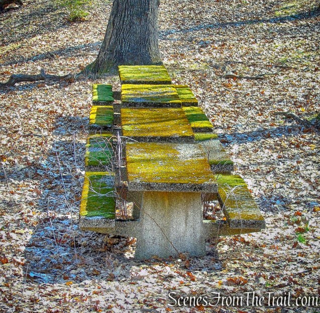 abandoned concrete picnic tables