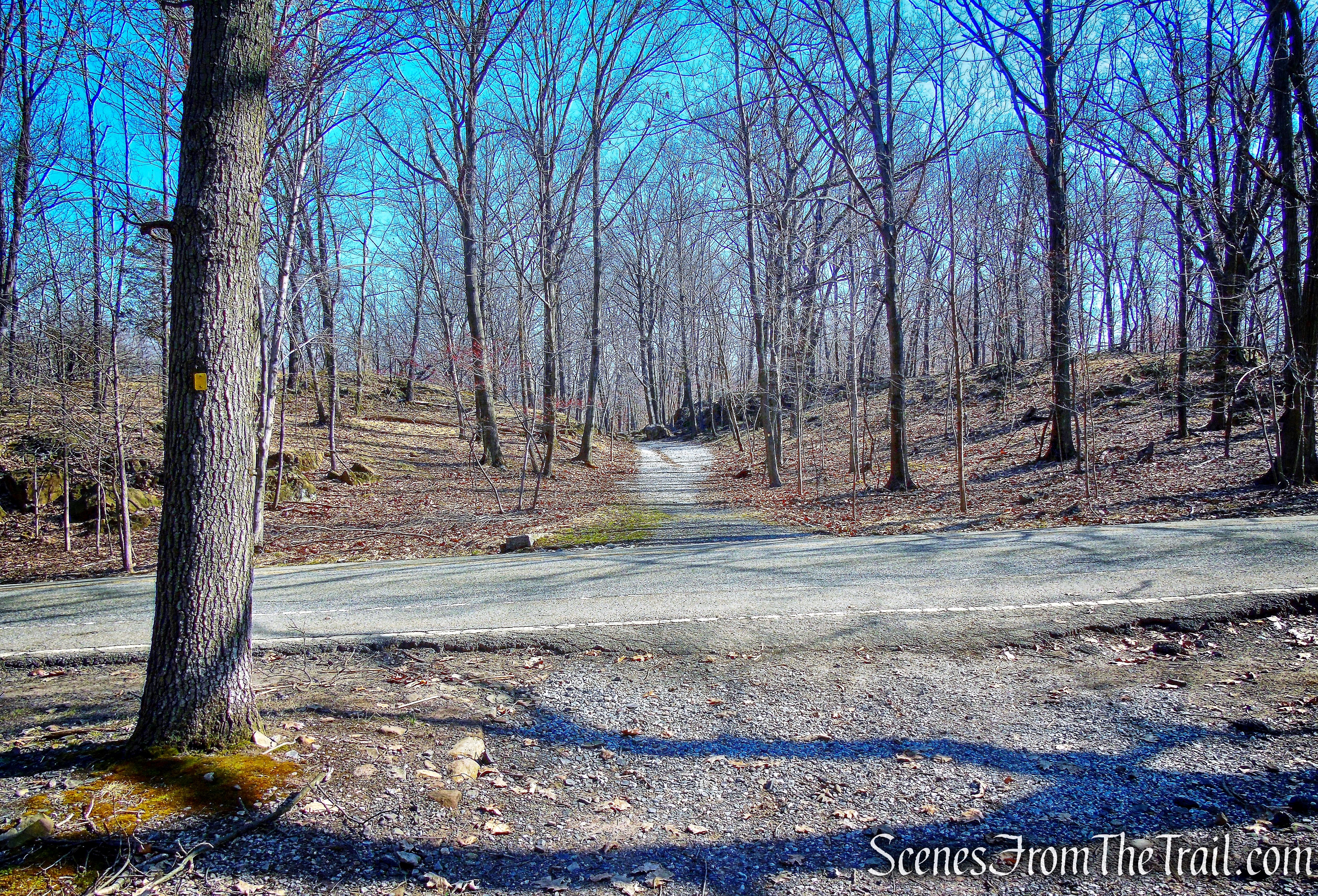 Park Road - Yellow Trail