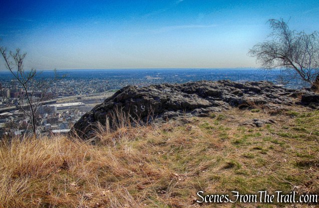 viewpoint - side trail