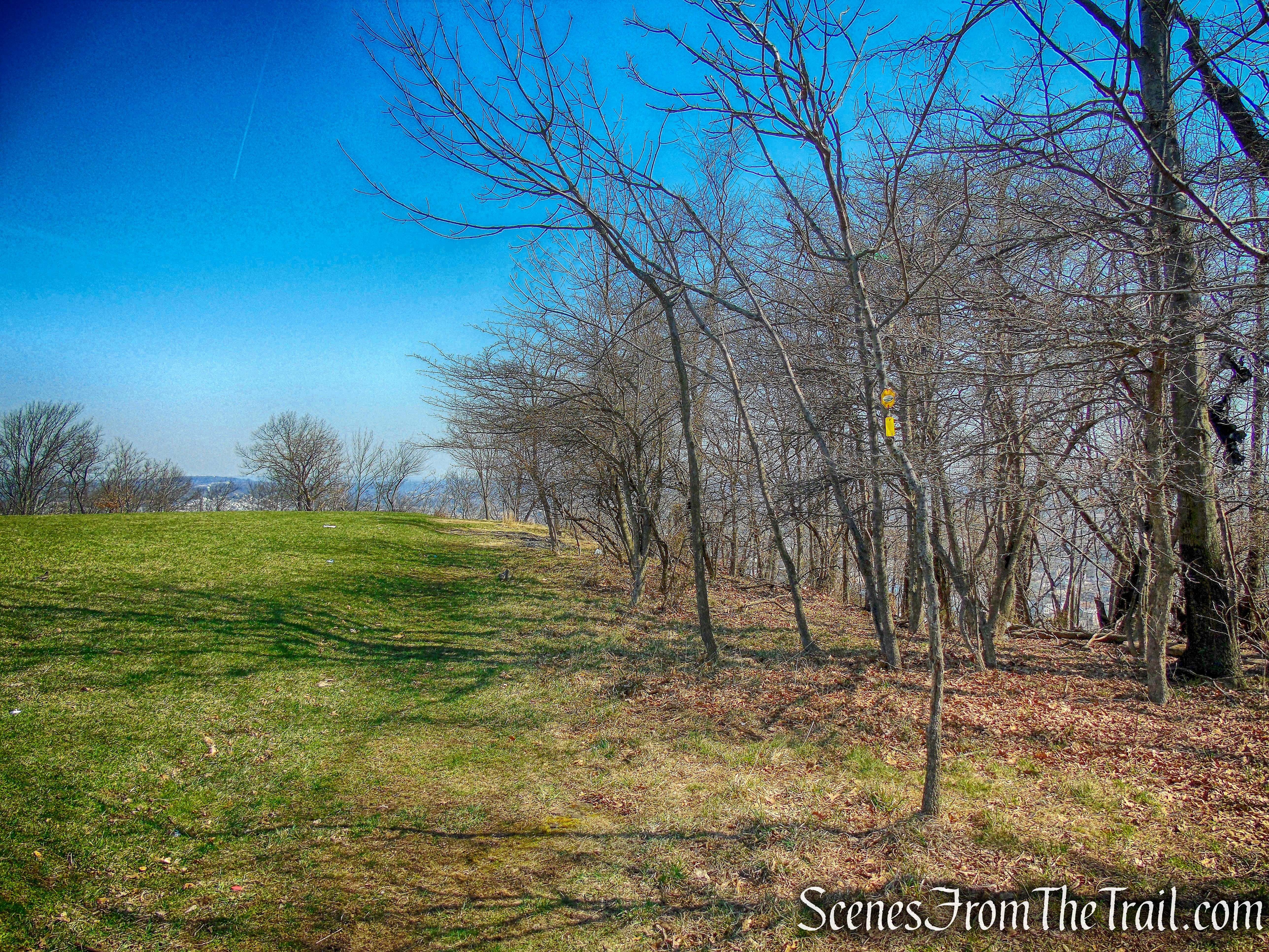 grassy field - Yellow Trail