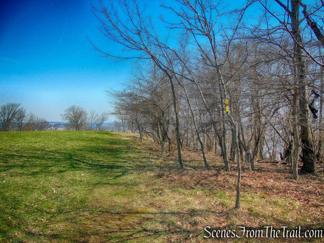 grassy field - Yellow Trail
