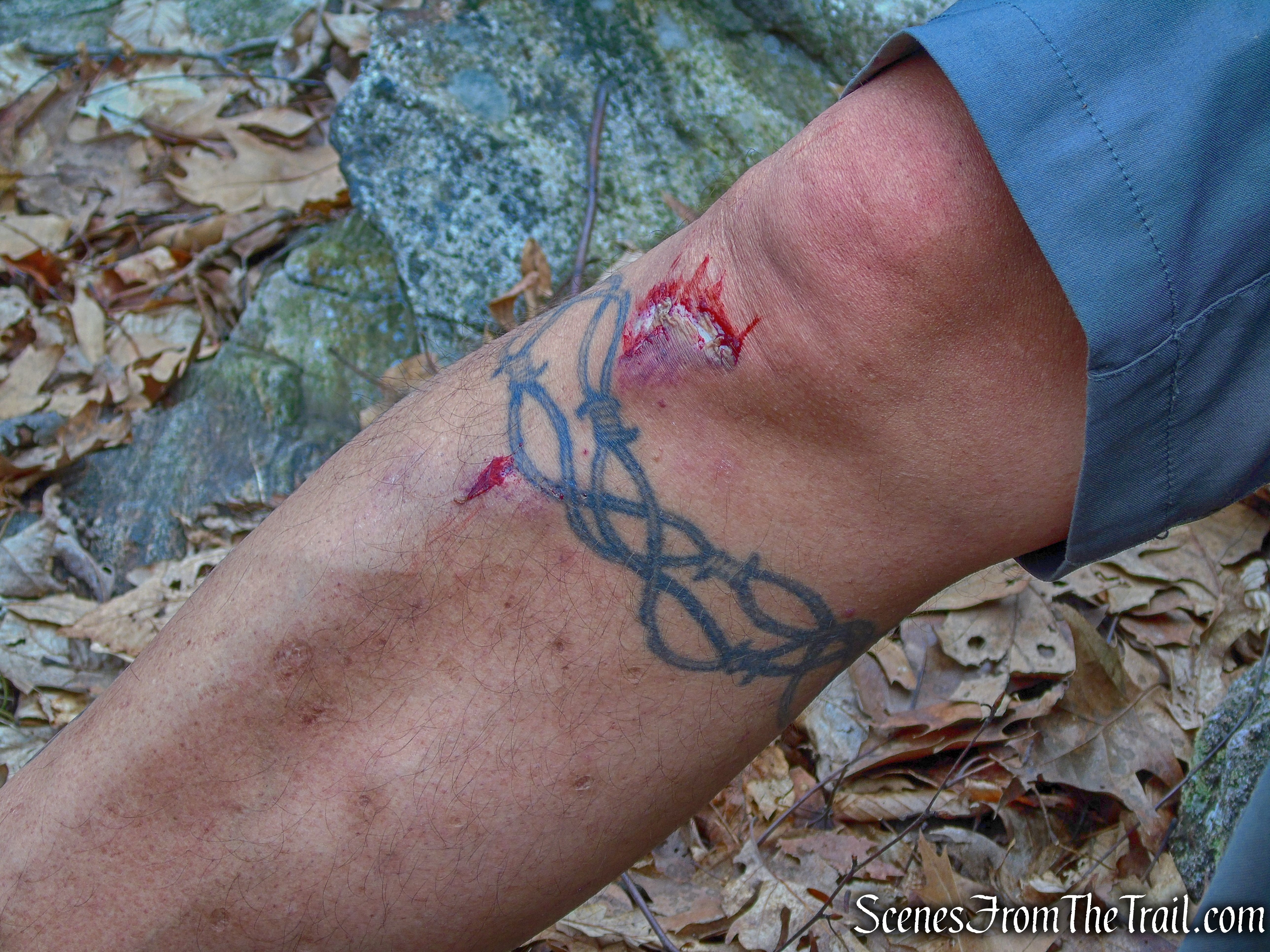 wounded knee - Camp Smith Trail