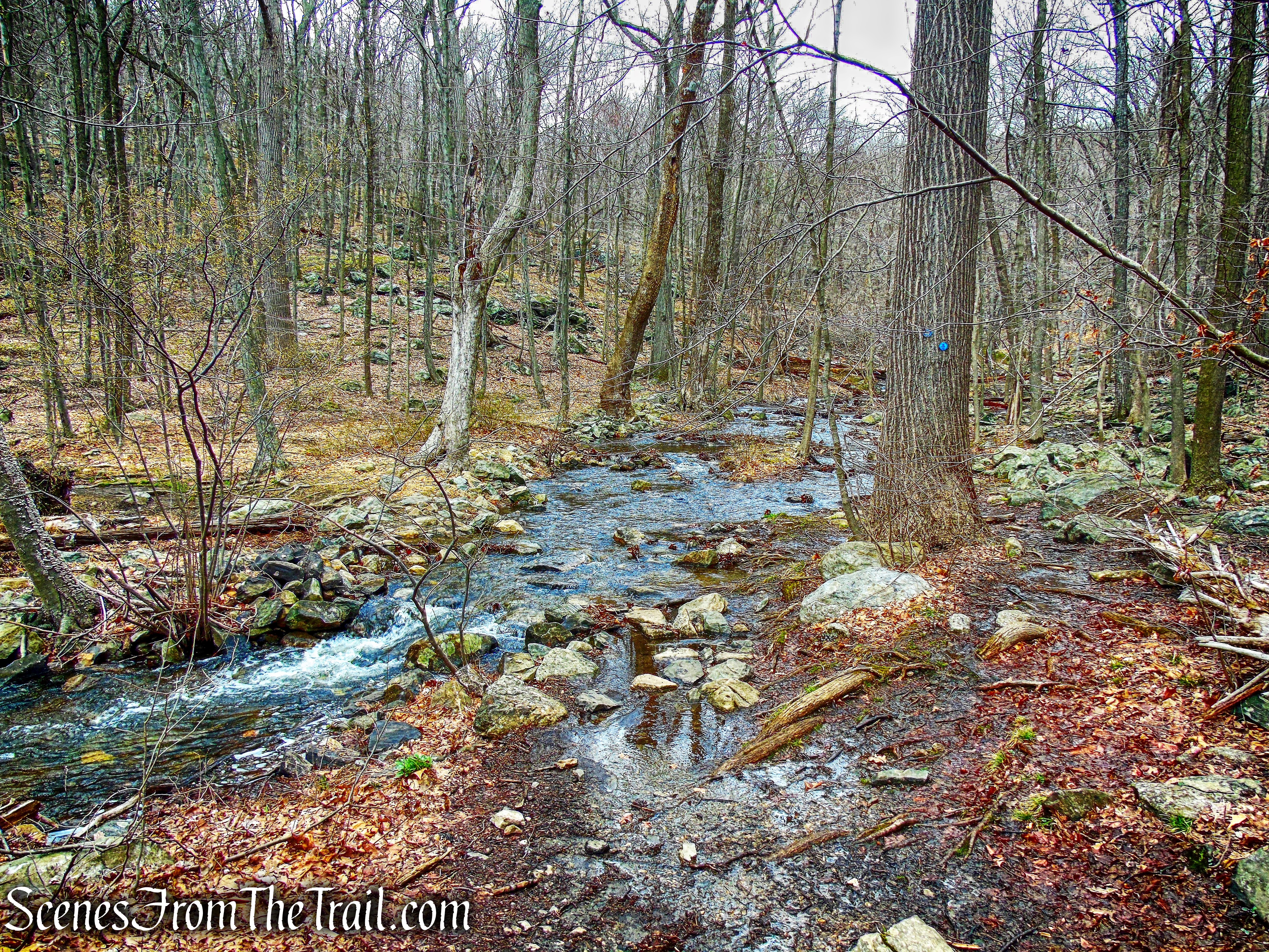 Broccy Creek - Camp Smith Trail