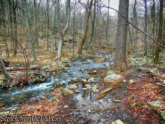 Broccy Creek - Camp Smith Trail