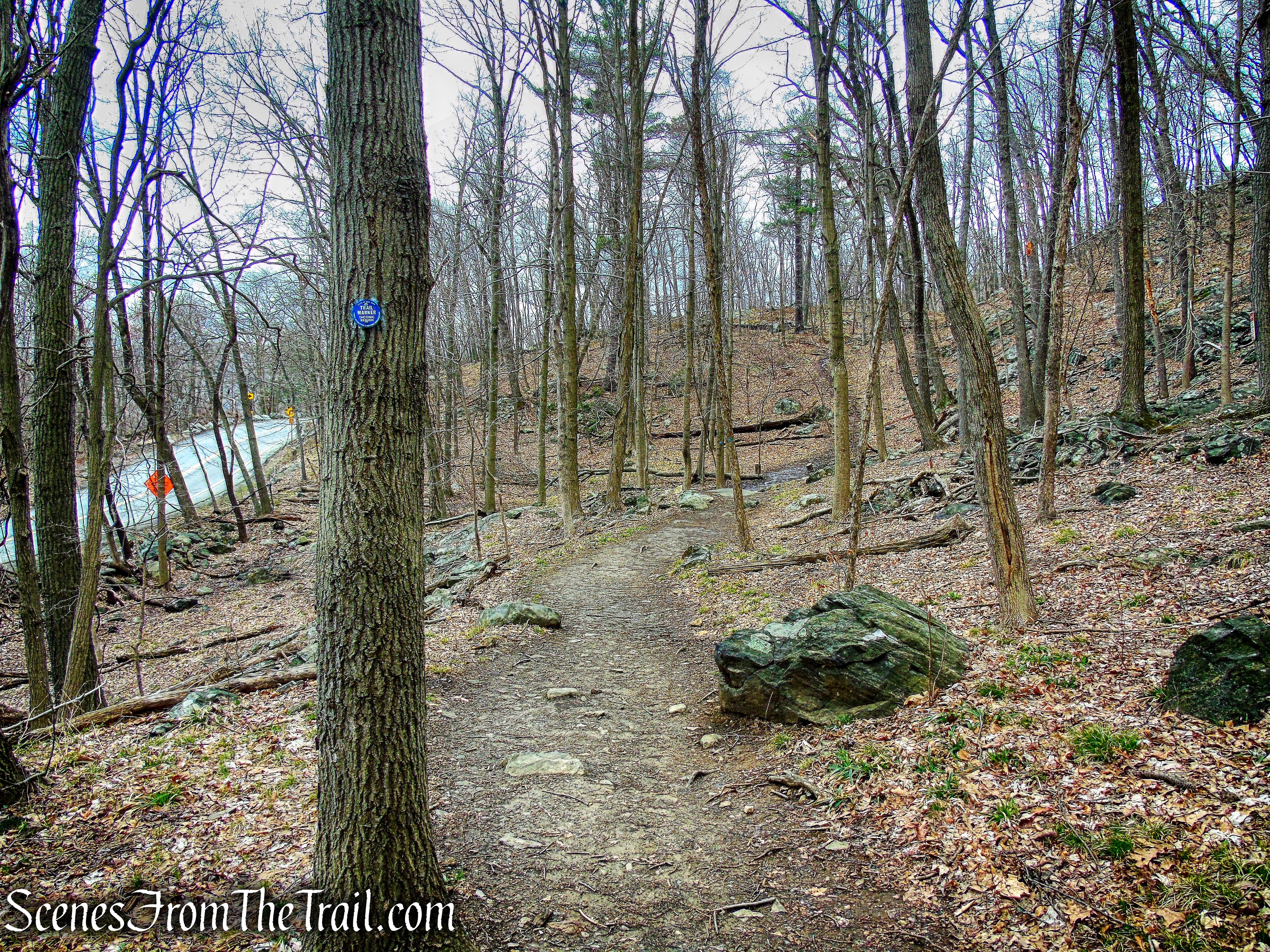 woods road - Camp Smith Trail