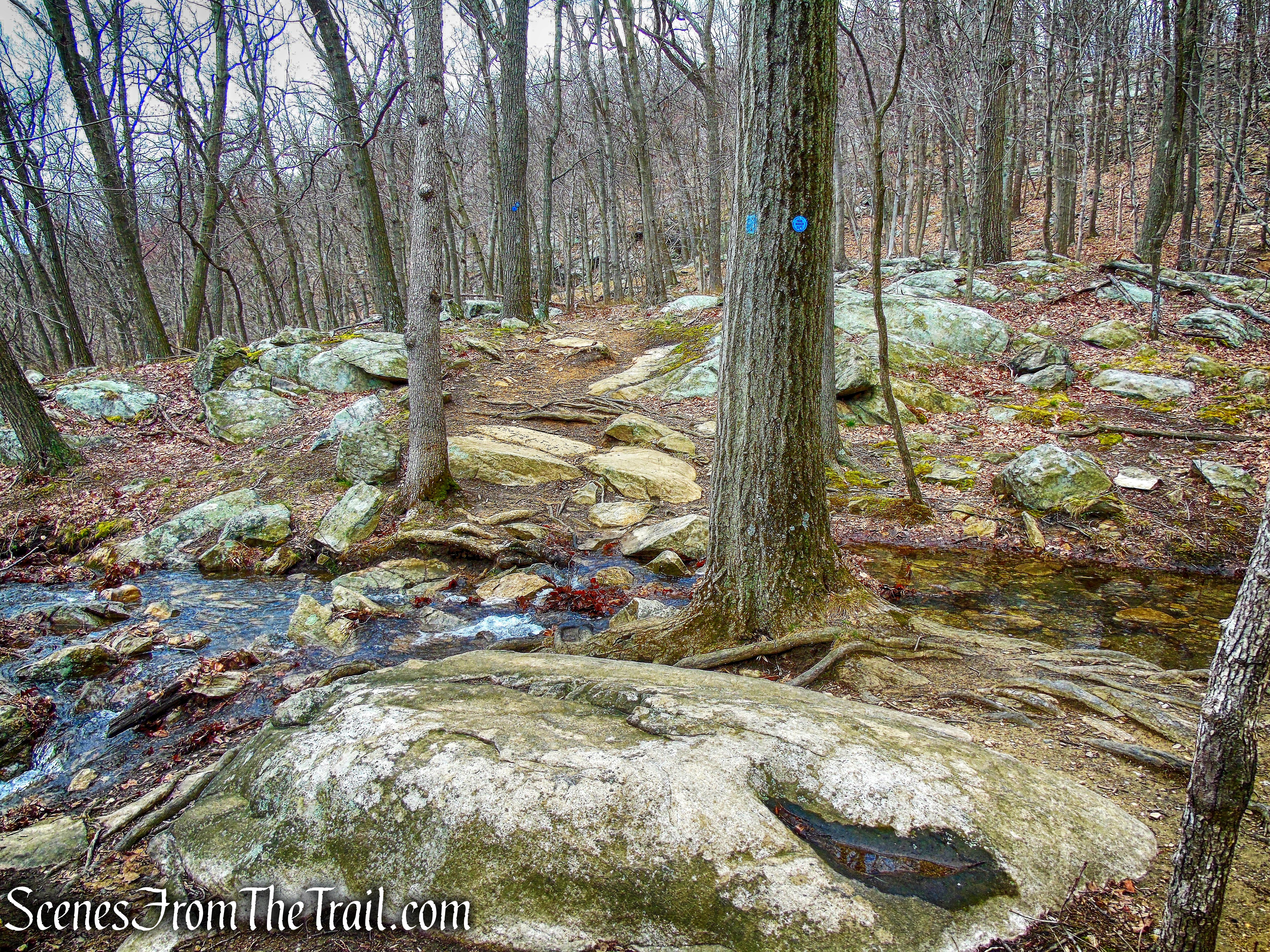 stream - Camp Smith Trail