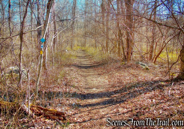 yellow-blazed Hasenclever Iron Trail
