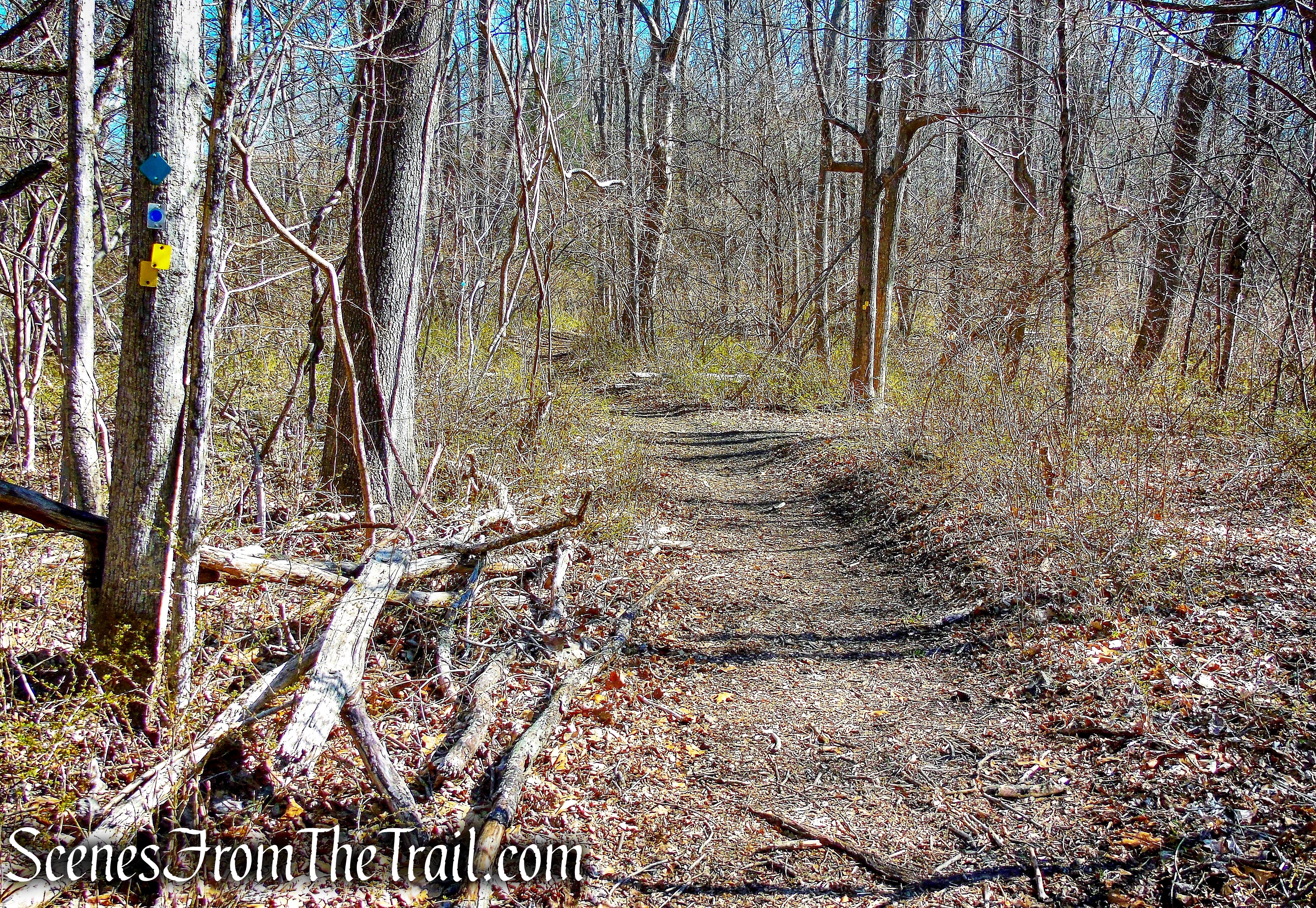 yellow-blazed Hasenclever Iron Trail